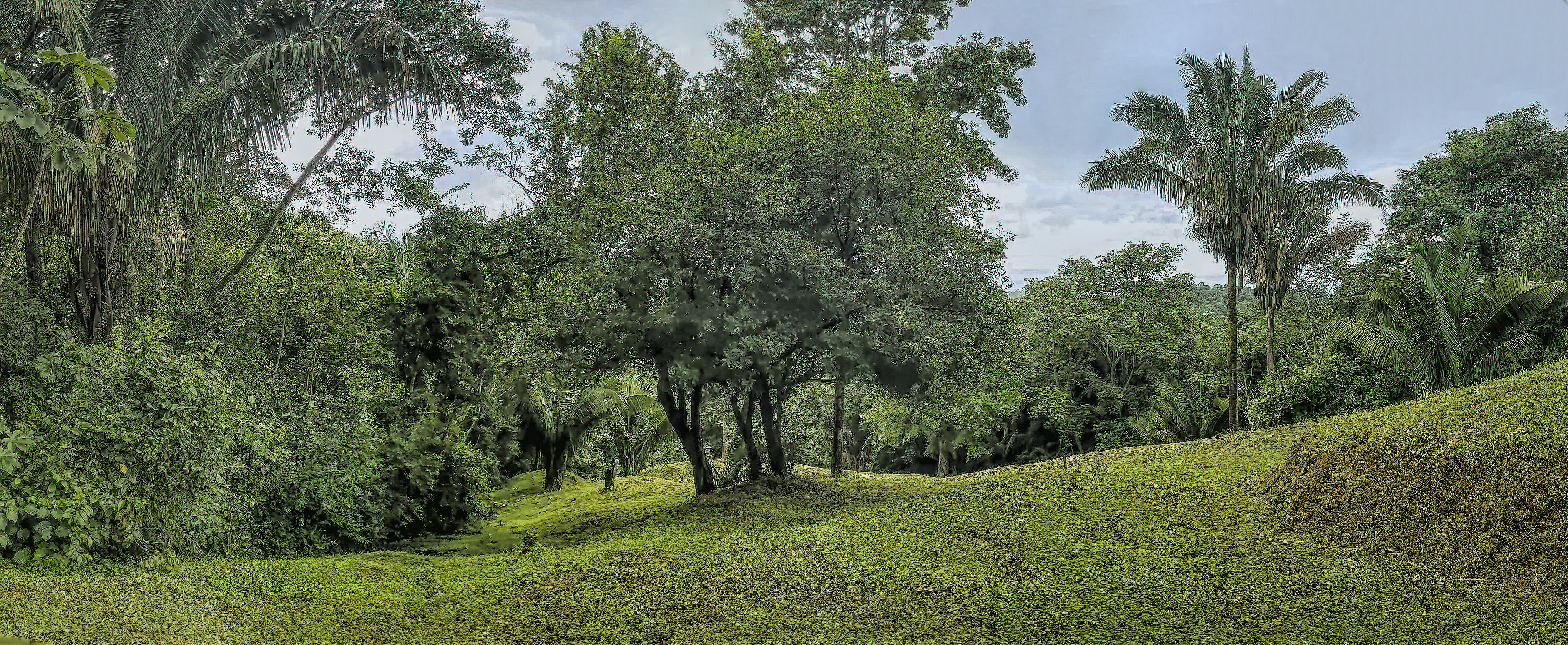 0 bed Land For Sale in Samara, Guanacaste - thumb 11