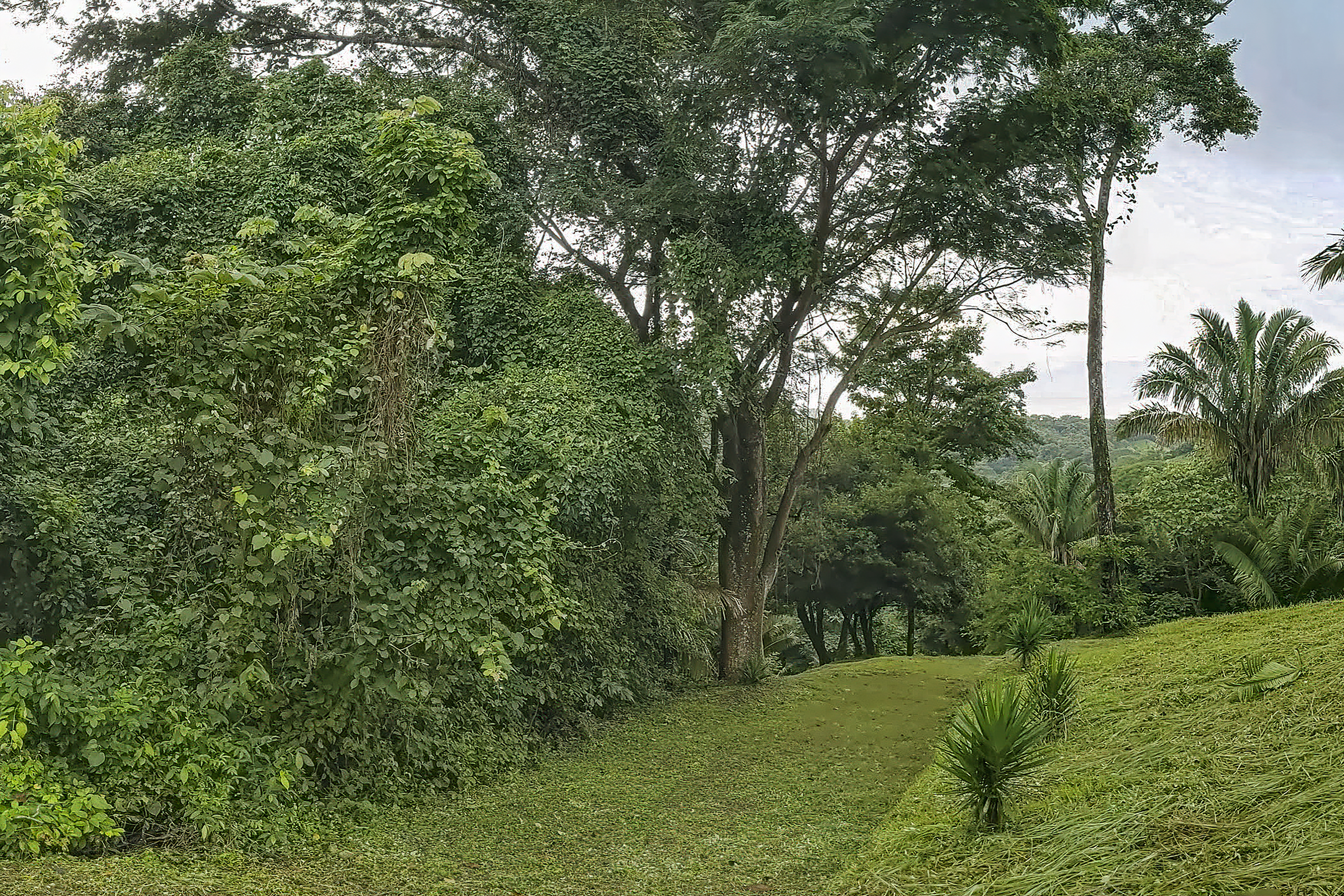 0 bed Land For Sale in Samara, Guanacaste - thumb 6