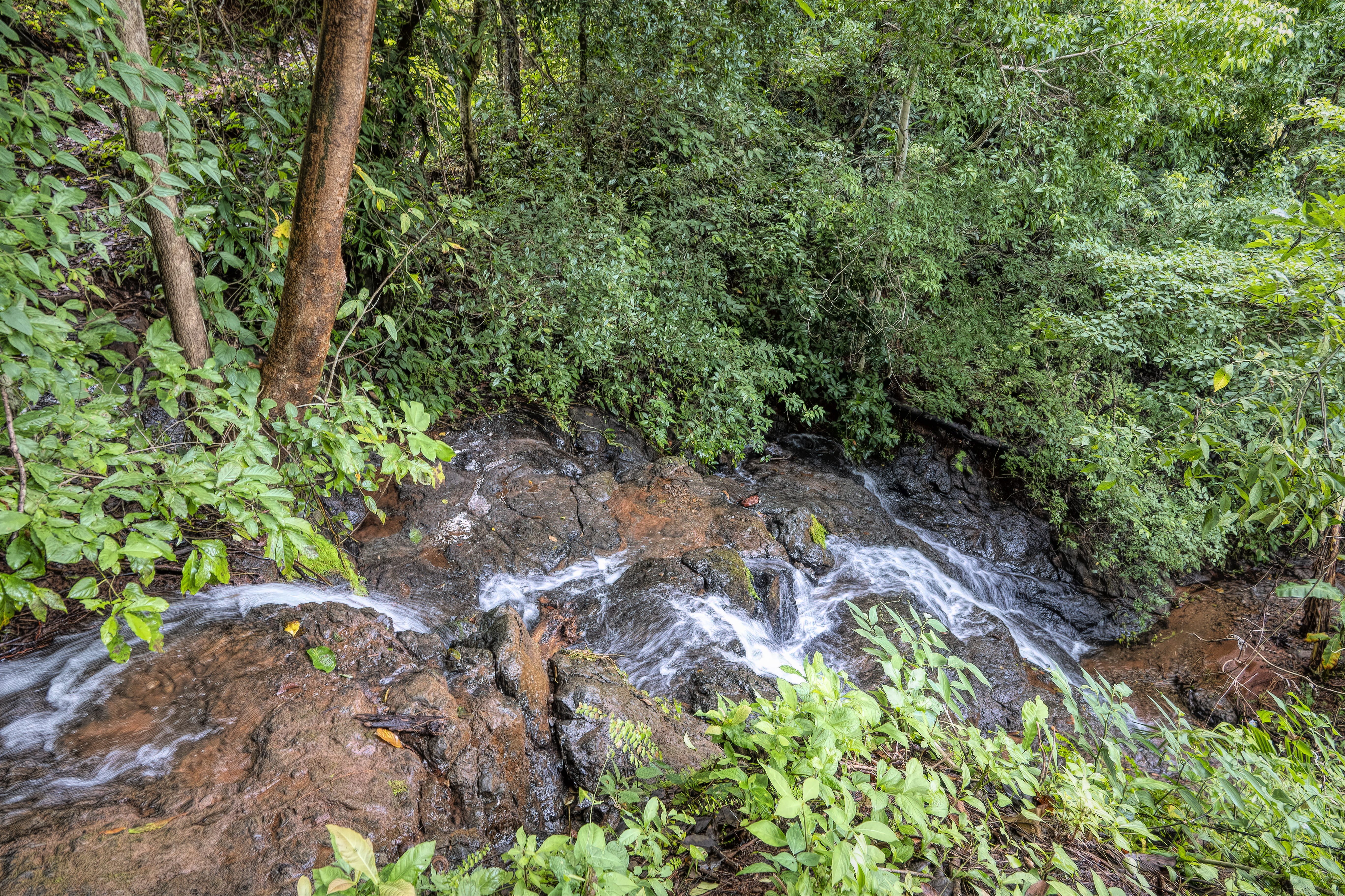 0 bed Land For Sale in Samara, Guanacaste - thumb 10