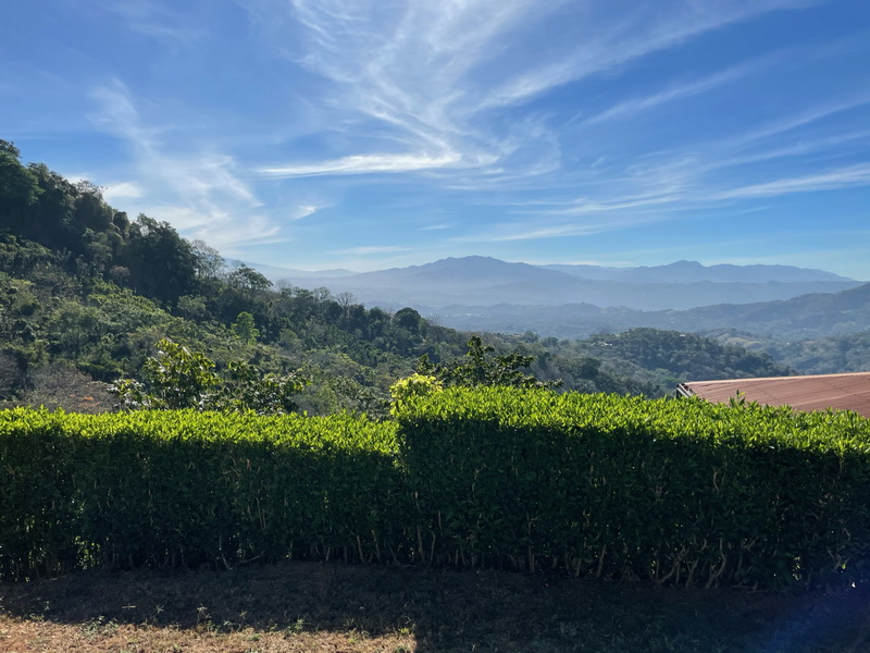 2 bed Single Family Homes For Sale in Atenas, Alajuela - thumb 3