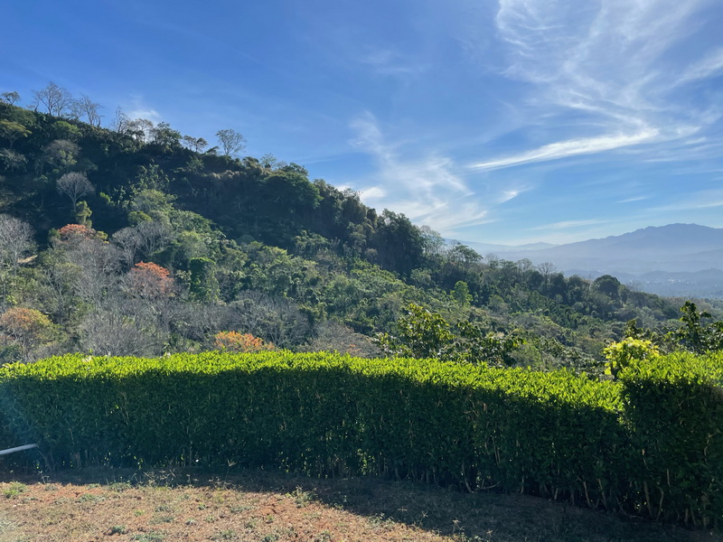 2 bed Single Family Homes For Sale in Atenas, Alajuela - thumb 8