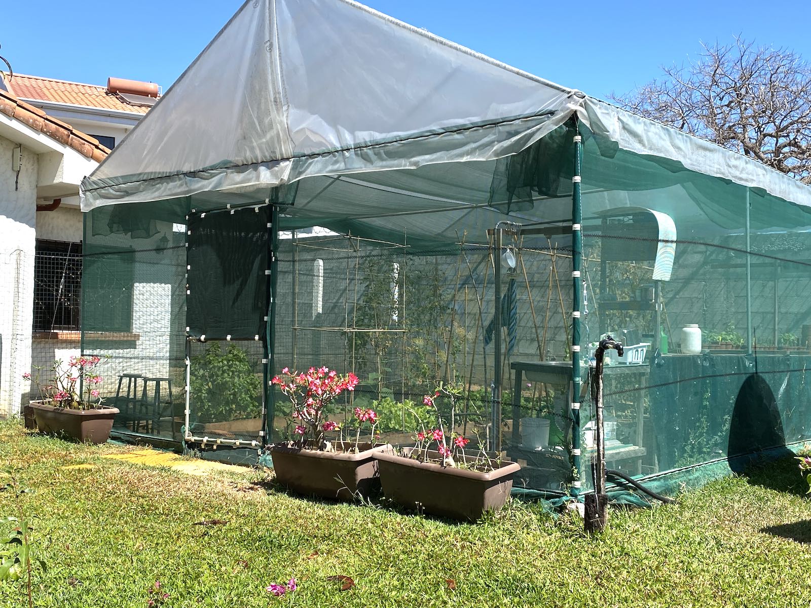 7 bed Single Family Homes For Sale in La Garita, Alajuela - thumb 25