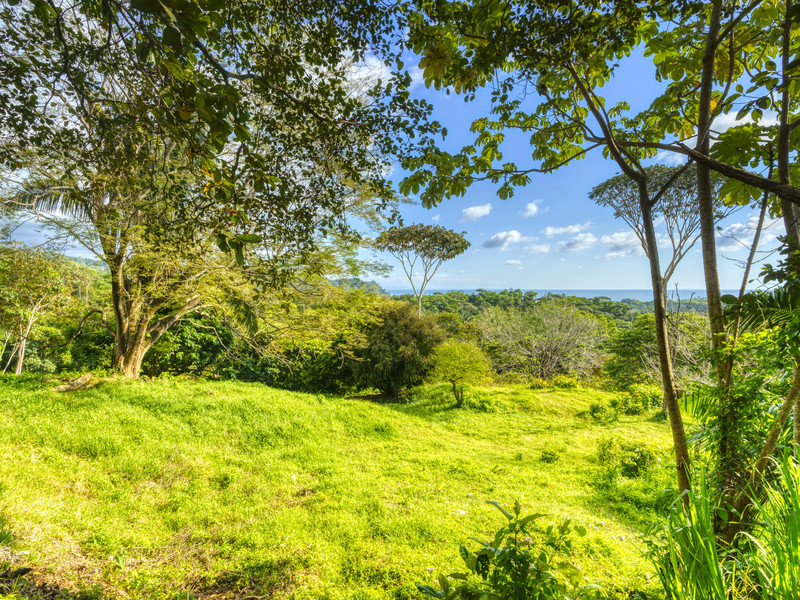 0 bed Land For Sale in Uvita, Puntarenas - 1