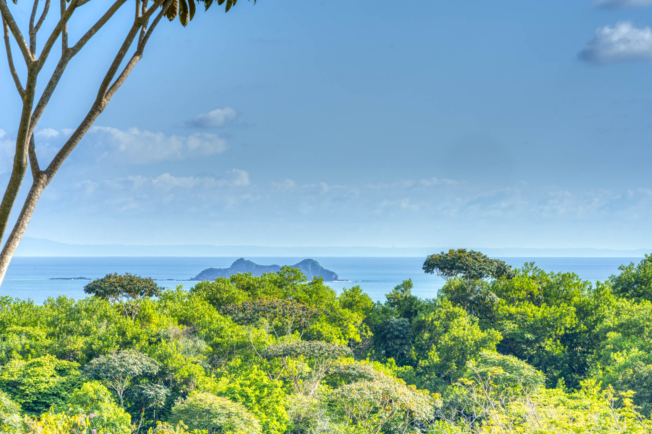 0 bed Land For Sale in Uvita, Puntarenas - thumb 13