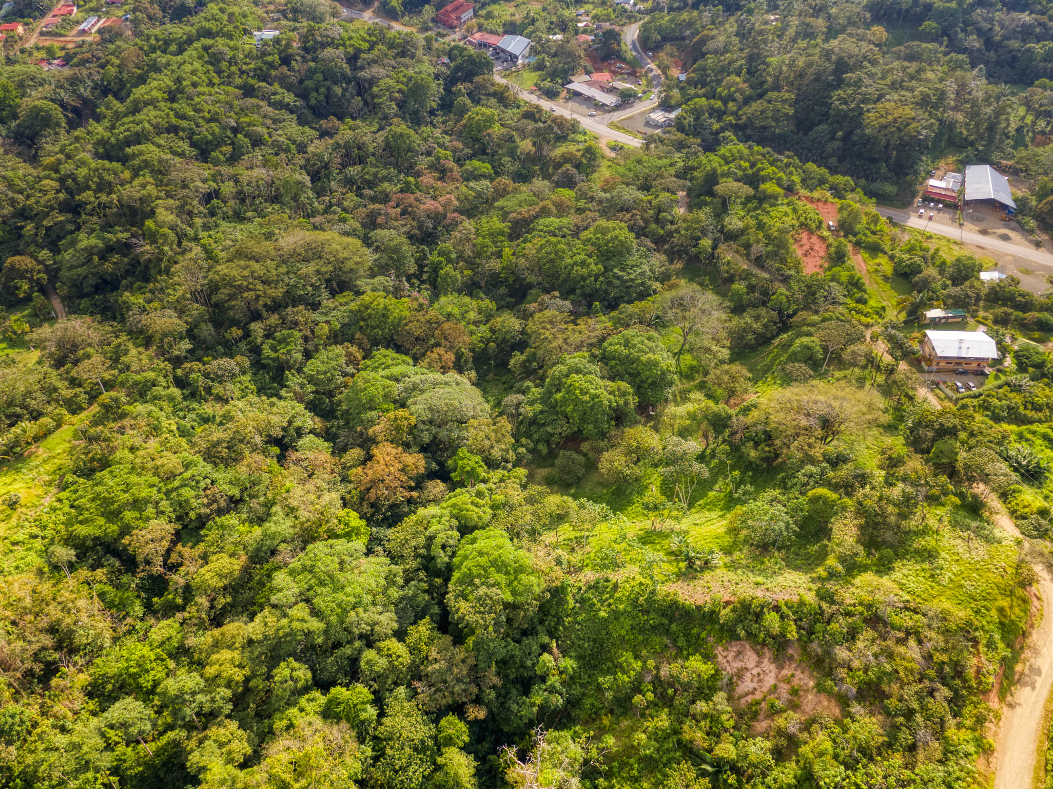 0 bed Land For Sale in Uvita, Puntarenas - thumb 24