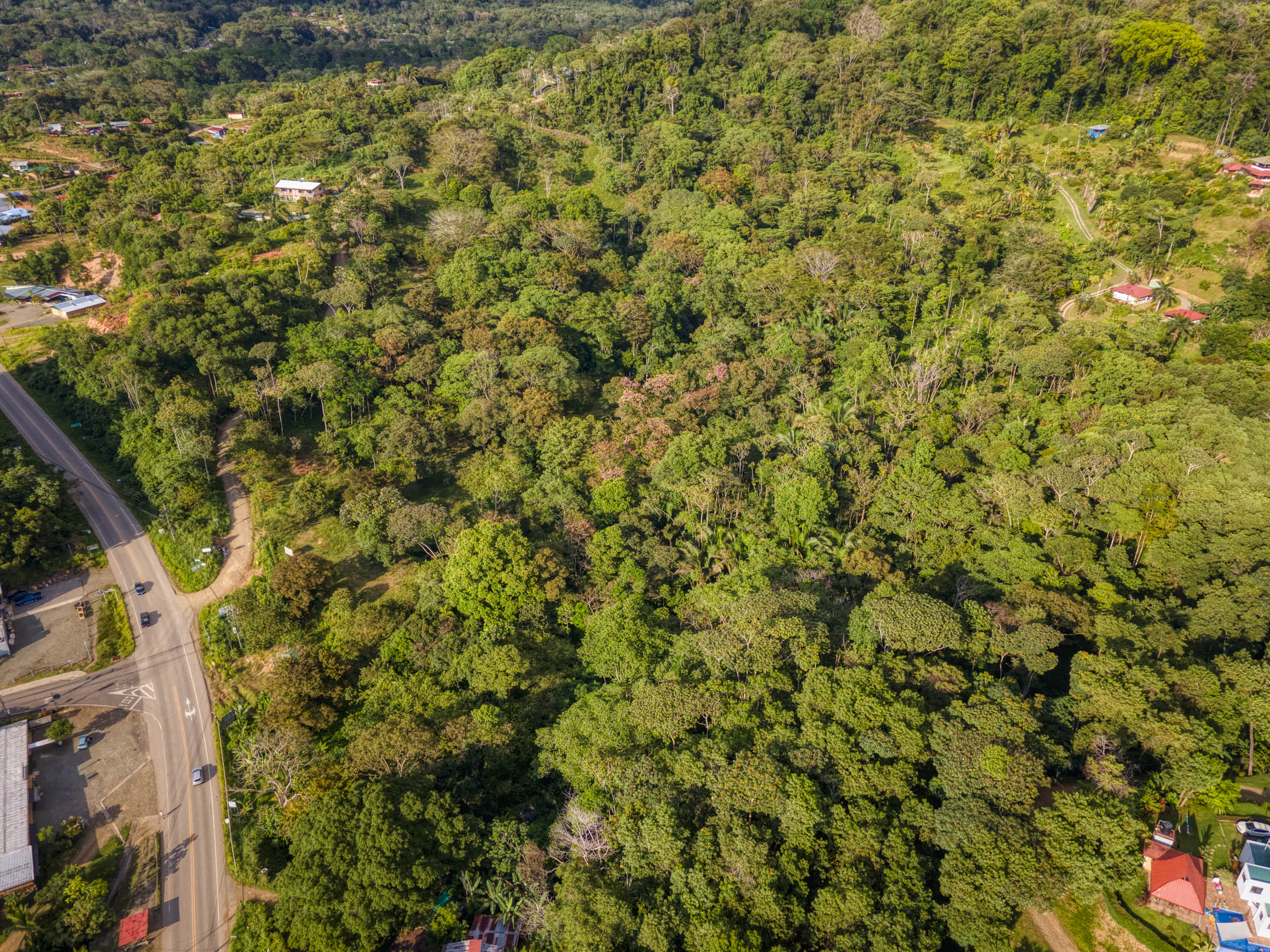 0 bed Land For Sale in Uvita, Puntarenas - thumb 11