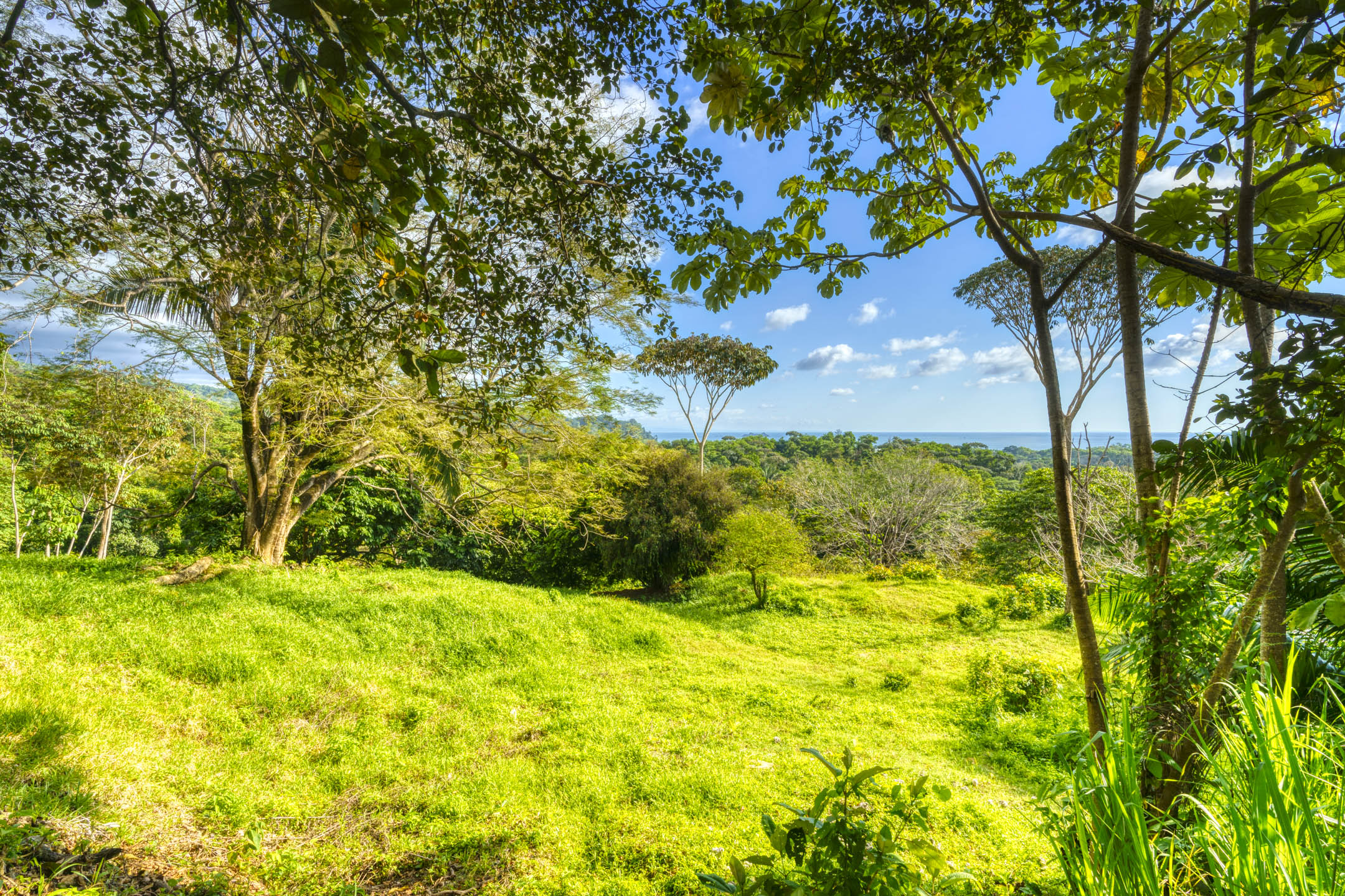 0 bed Land For Sale in Uvita, Puntarenas - thumb 17