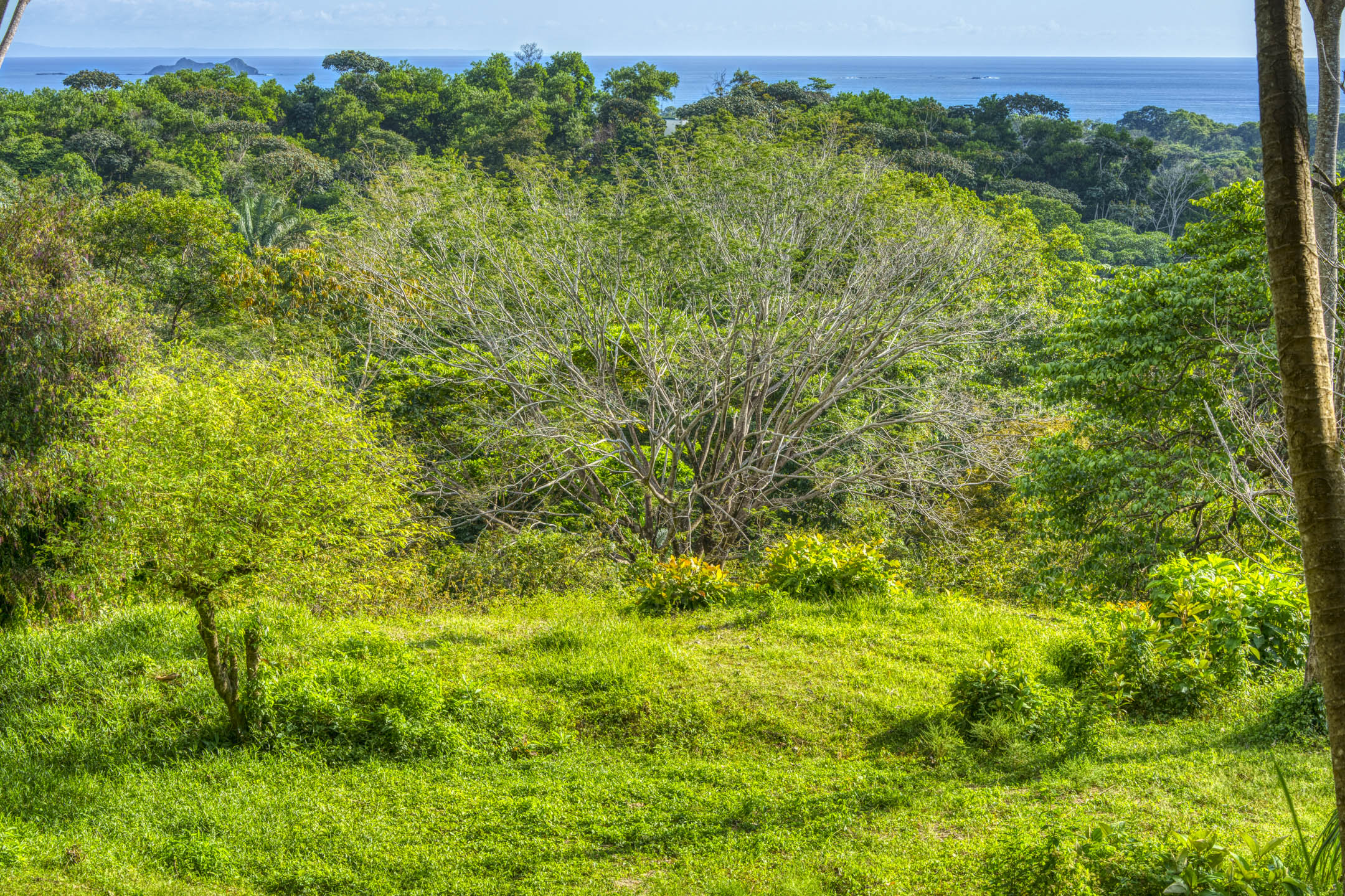 0 bed Land For Sale in Uvita, Puntarenas - thumb 21
