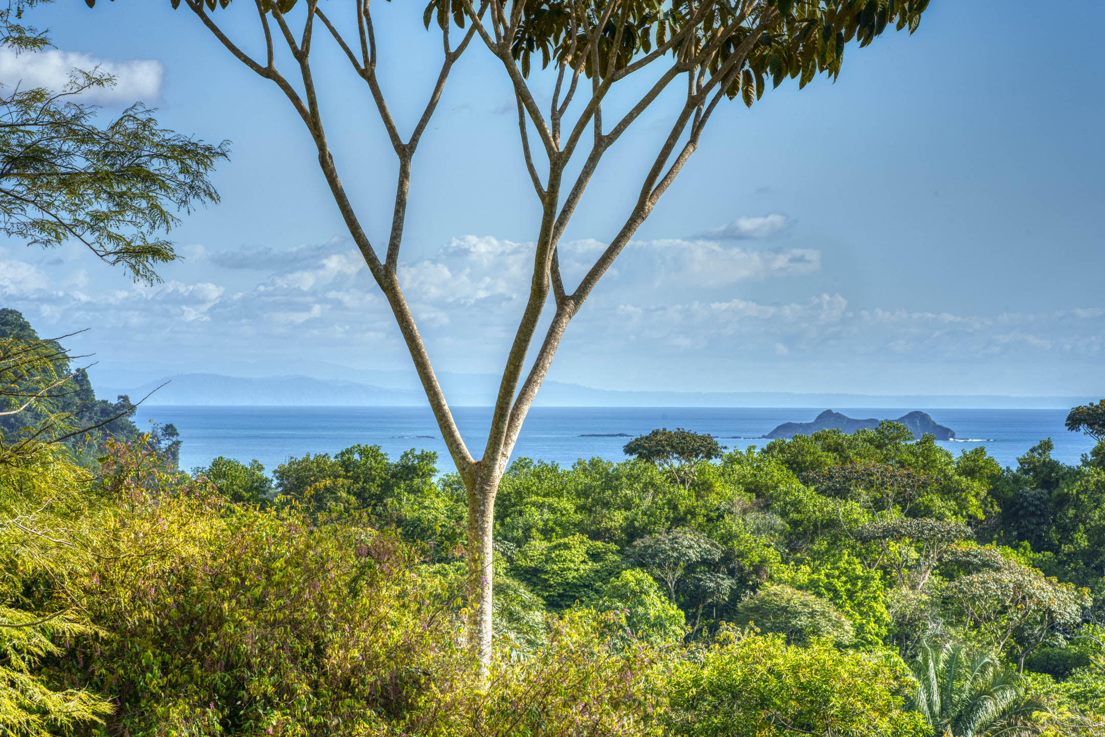 0 bed Land For Sale in Uvita, Puntarenas - thumb 19