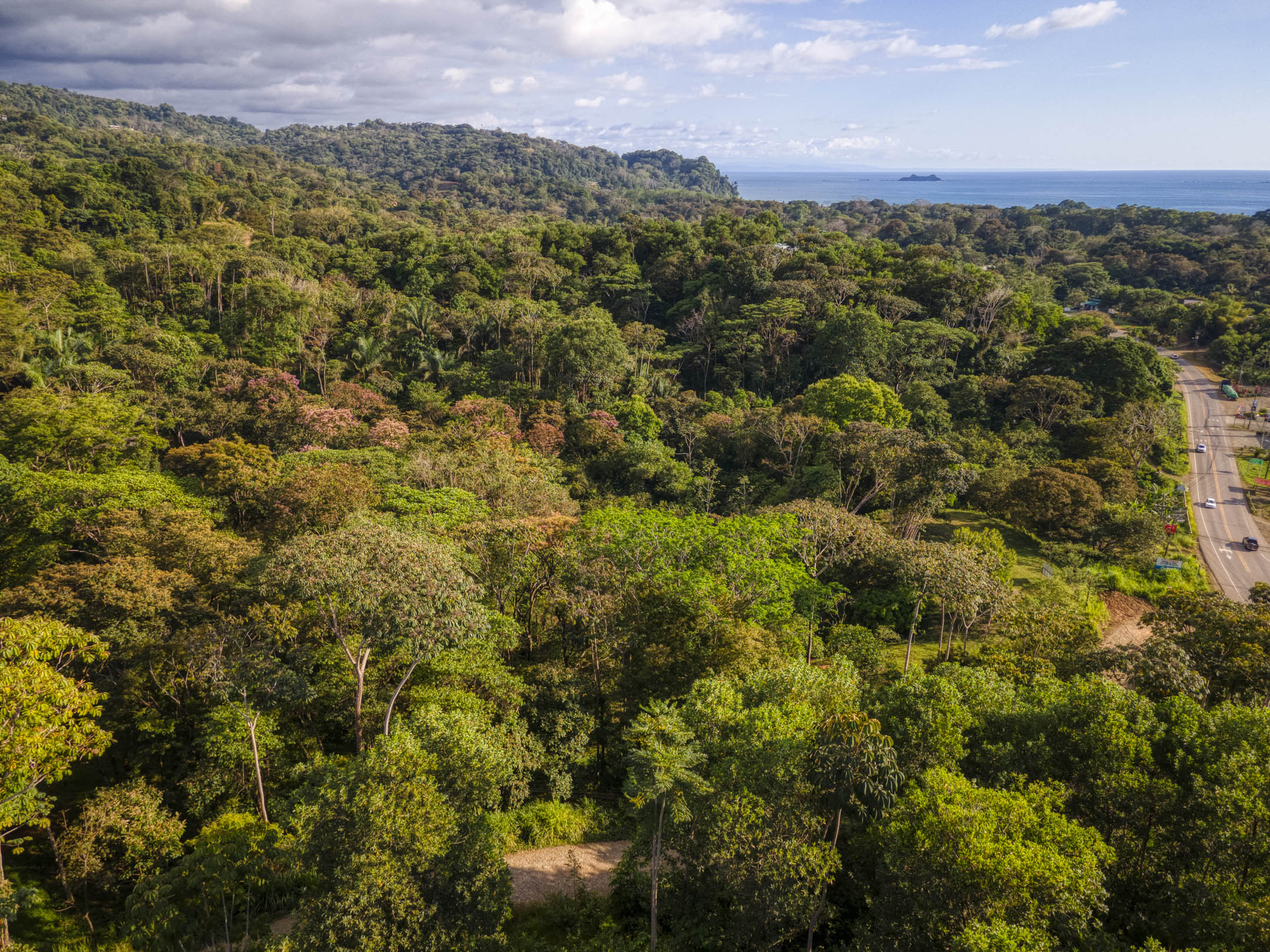 0 bed Land For Sale in Uvita, Puntarenas - thumb 15