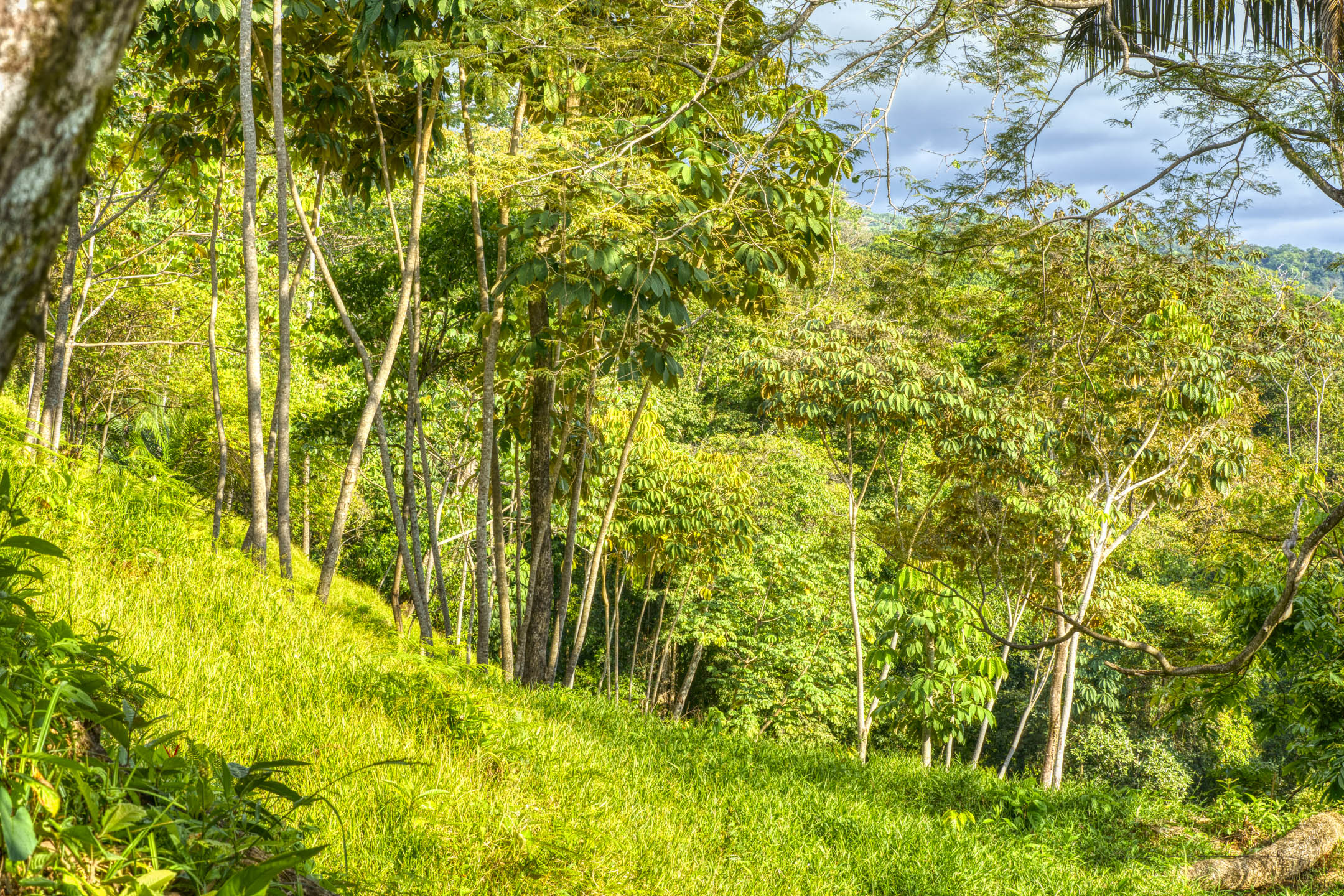 0 bed Land For Sale in Uvita, Puntarenas - thumb 20