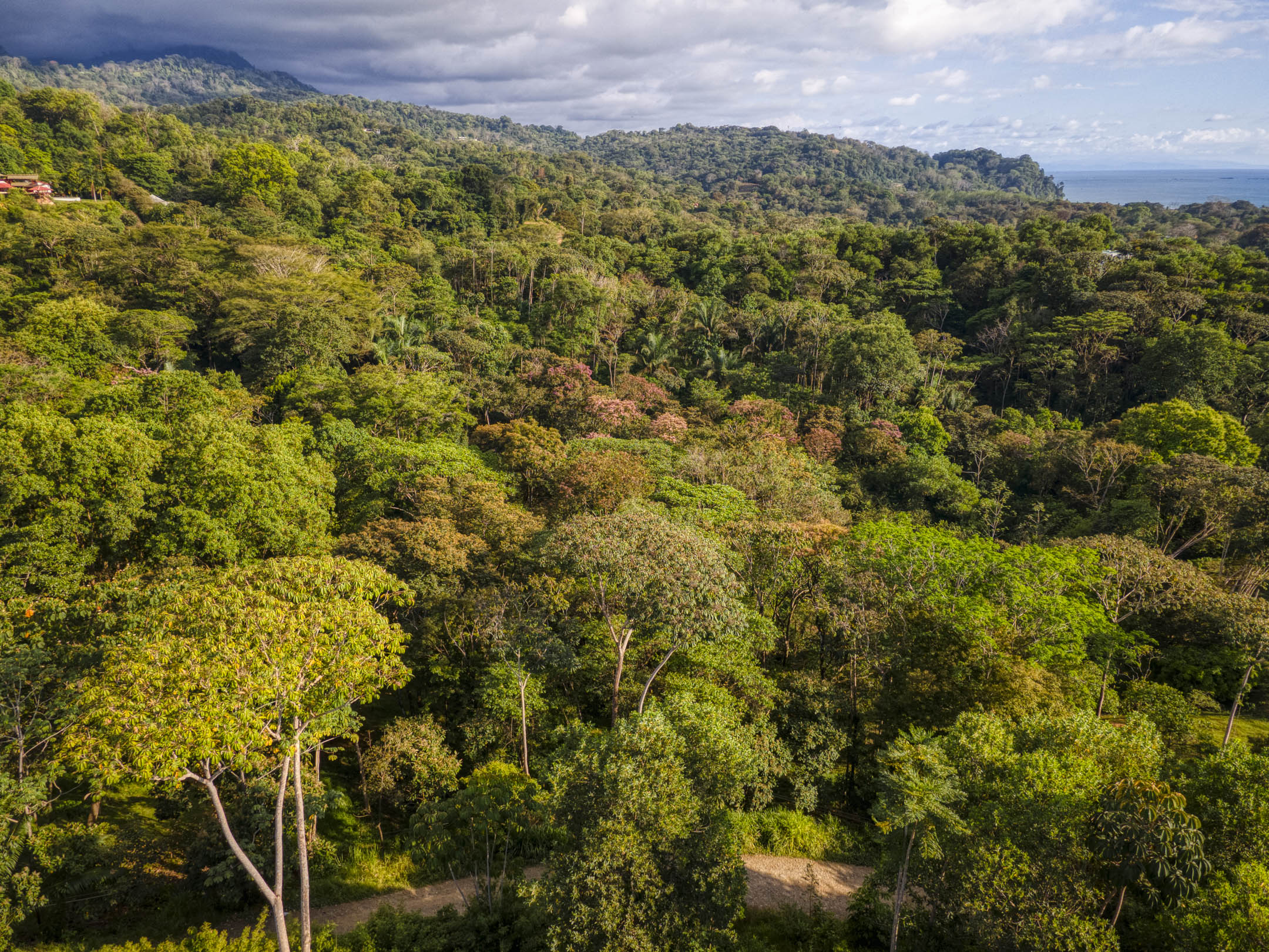 0 bed Land For Sale in Uvita, Puntarenas - thumb 14