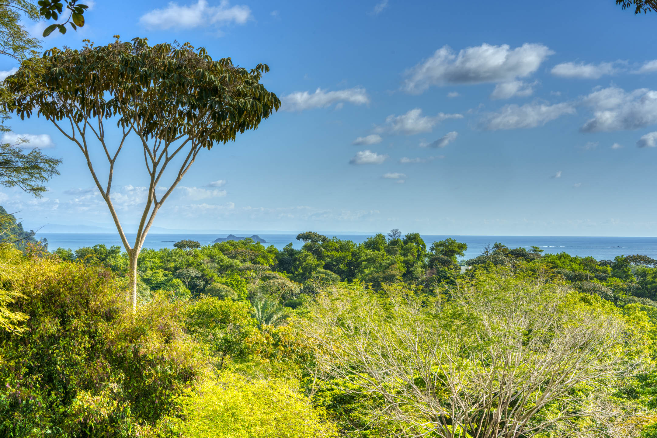 0 bed Land For Sale in Uvita, Puntarenas - thumb 18