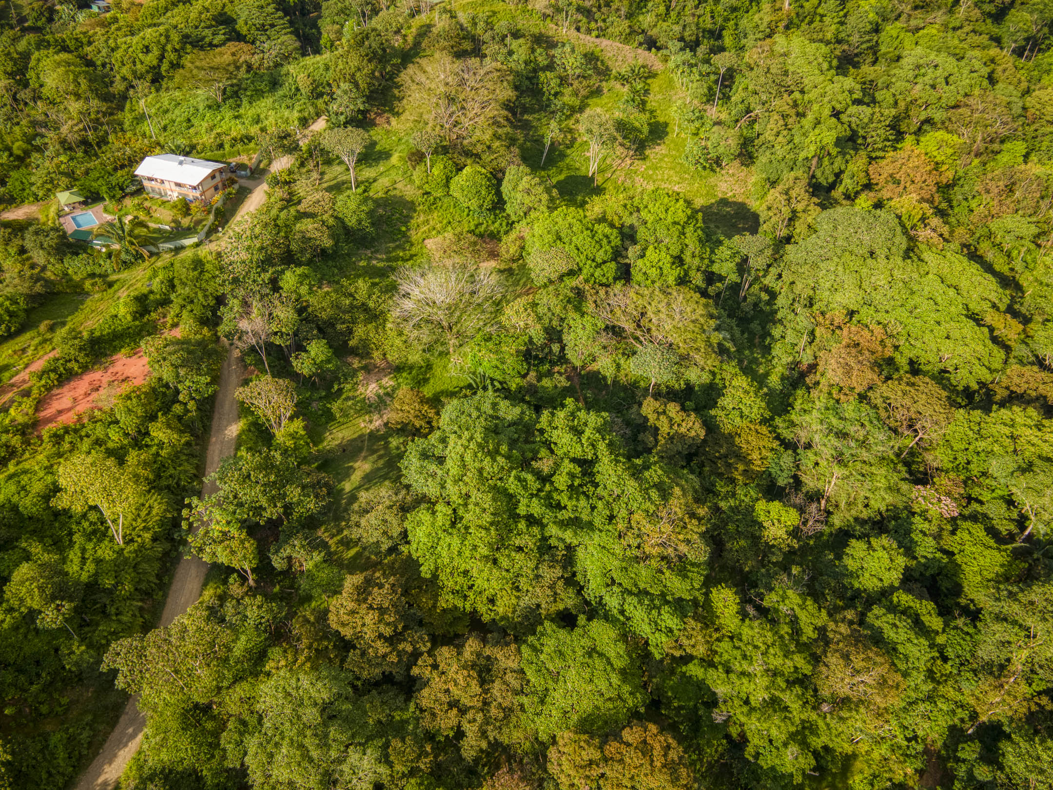 0 bed Land For Sale in Uvita, Puntarenas - thumb 12