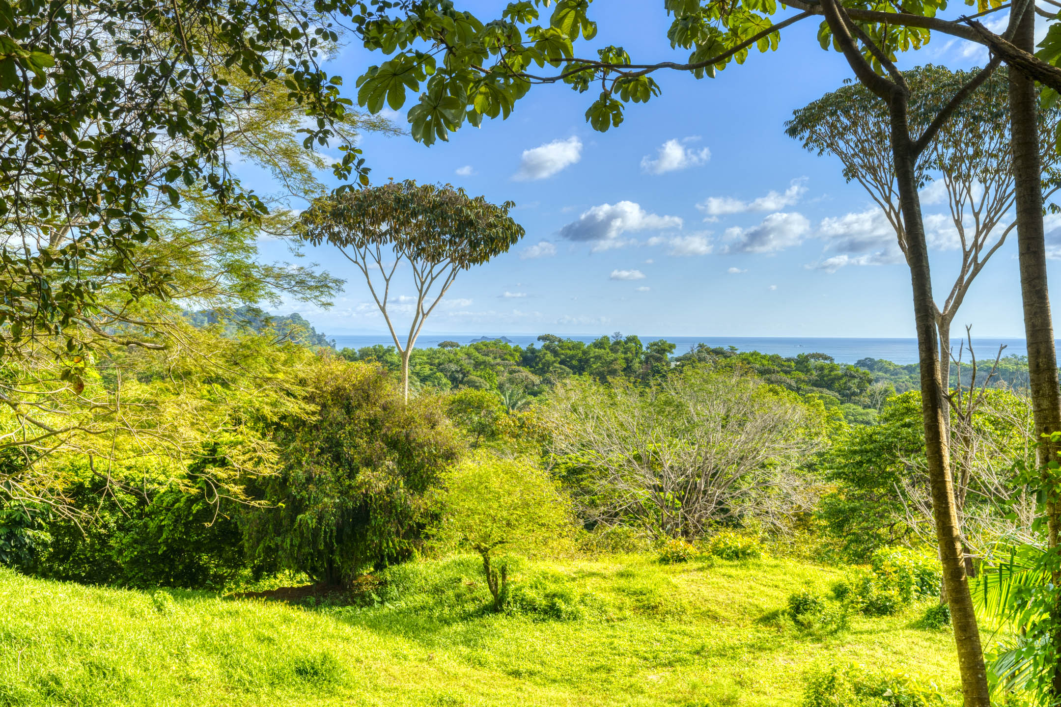 0 bed Land For Sale in Uvita, Puntarenas - thumb 16