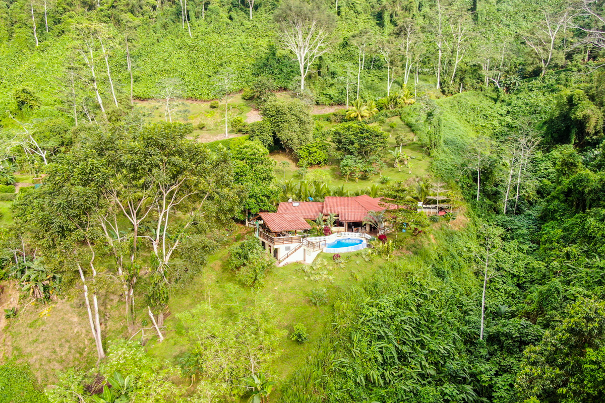 6 bed Single Family Homes For Sale in Dominical, Puntarenas - thumb 2