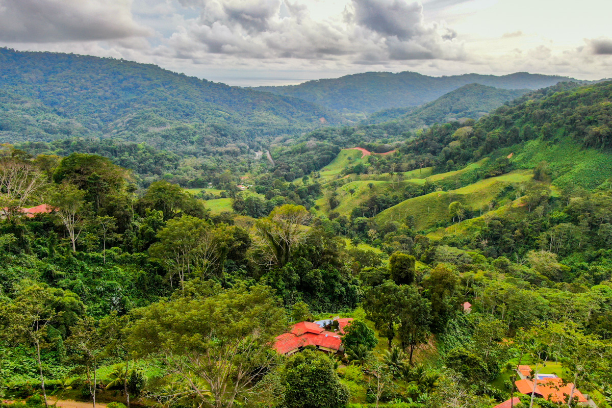 6 bed Single Family Homes For Sale in Dominical, Puntarenas - thumb 15
