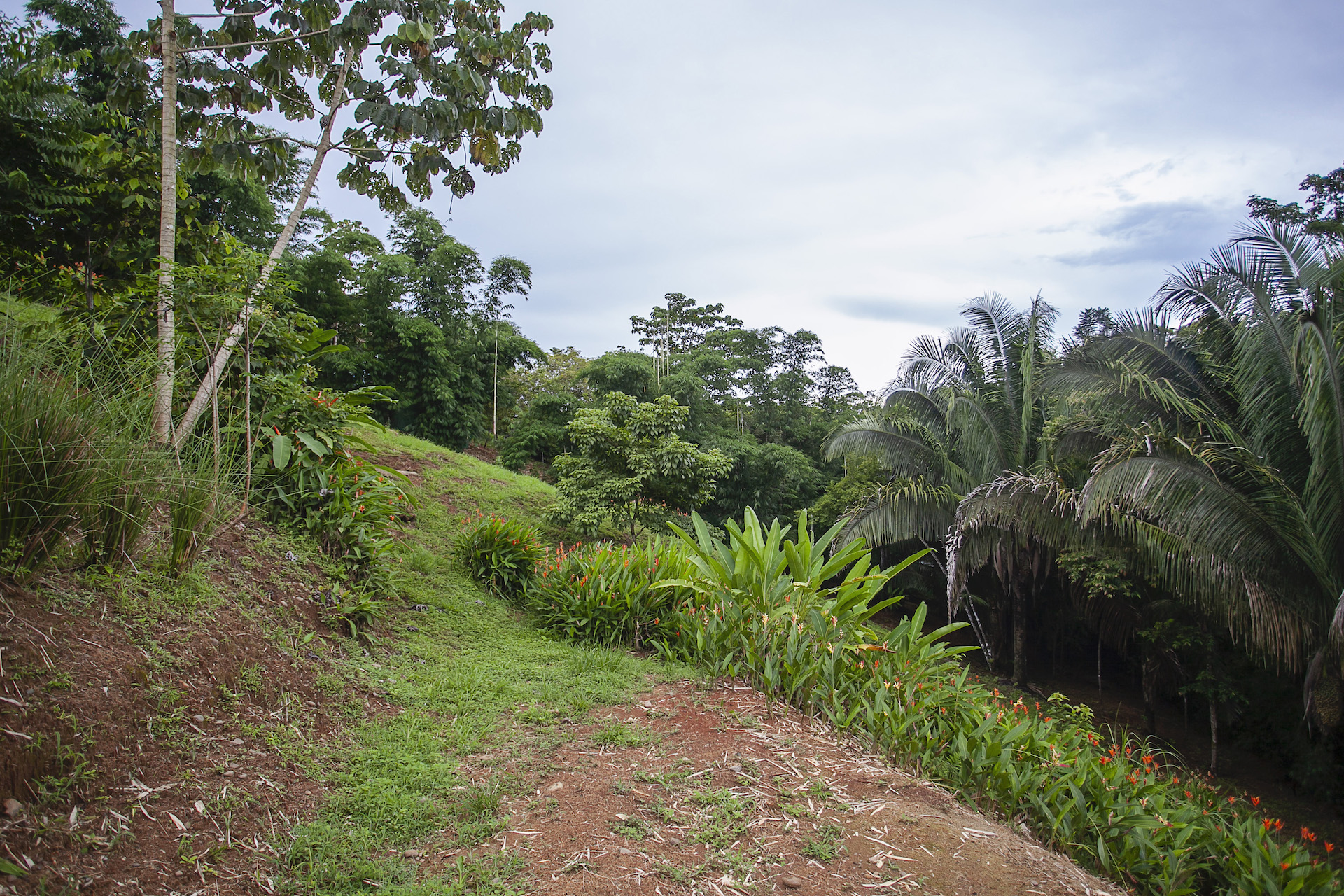 5 bed Single Family Homes For Sale in Quepos, Puntarenas - thumb 14