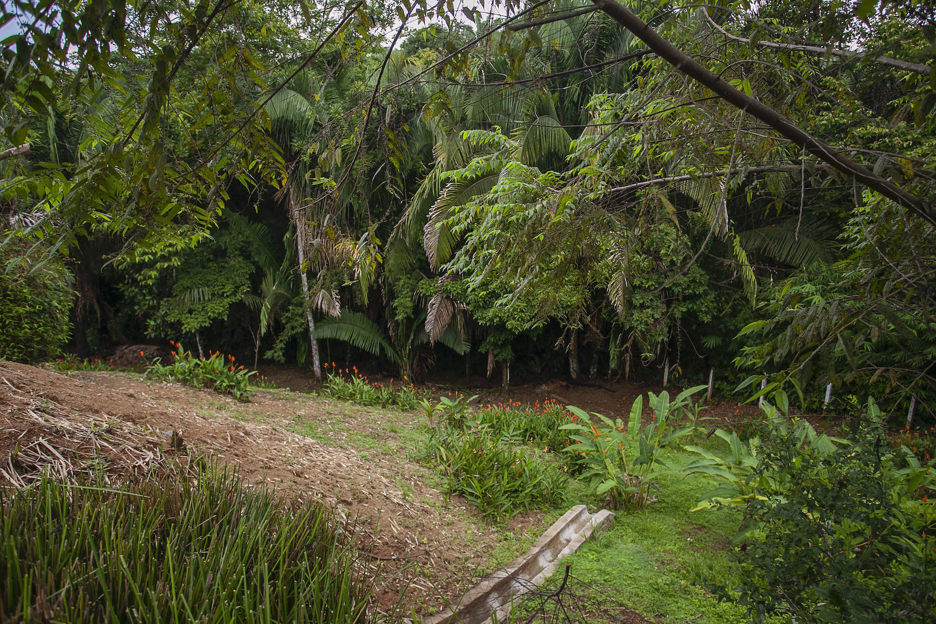 5 bed Single Family Homes For Sale in Quepos, Puntarenas - thumb 6