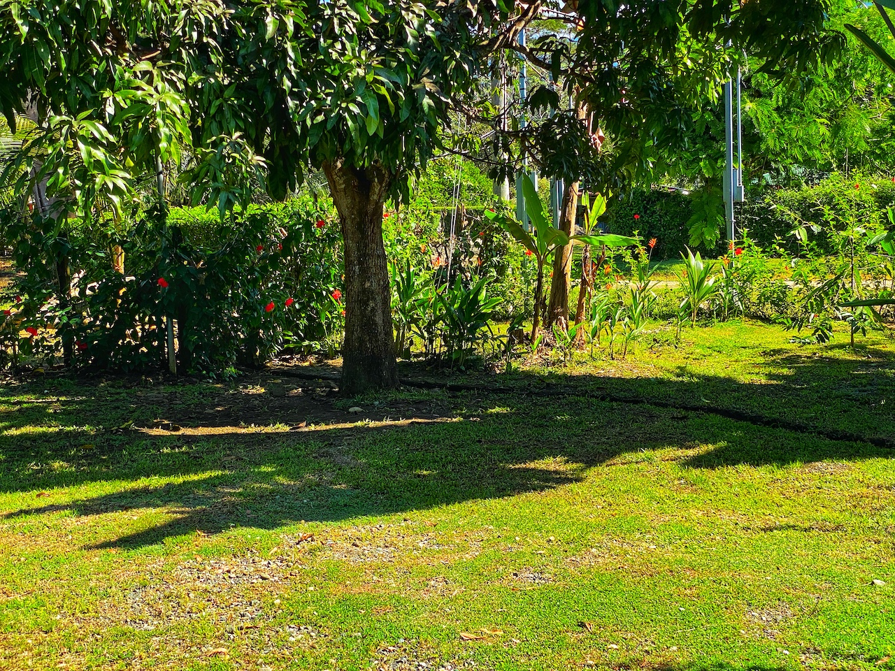 2 bed Single Family Homes For Sale in Uvita, Puntarenas - thumb 15