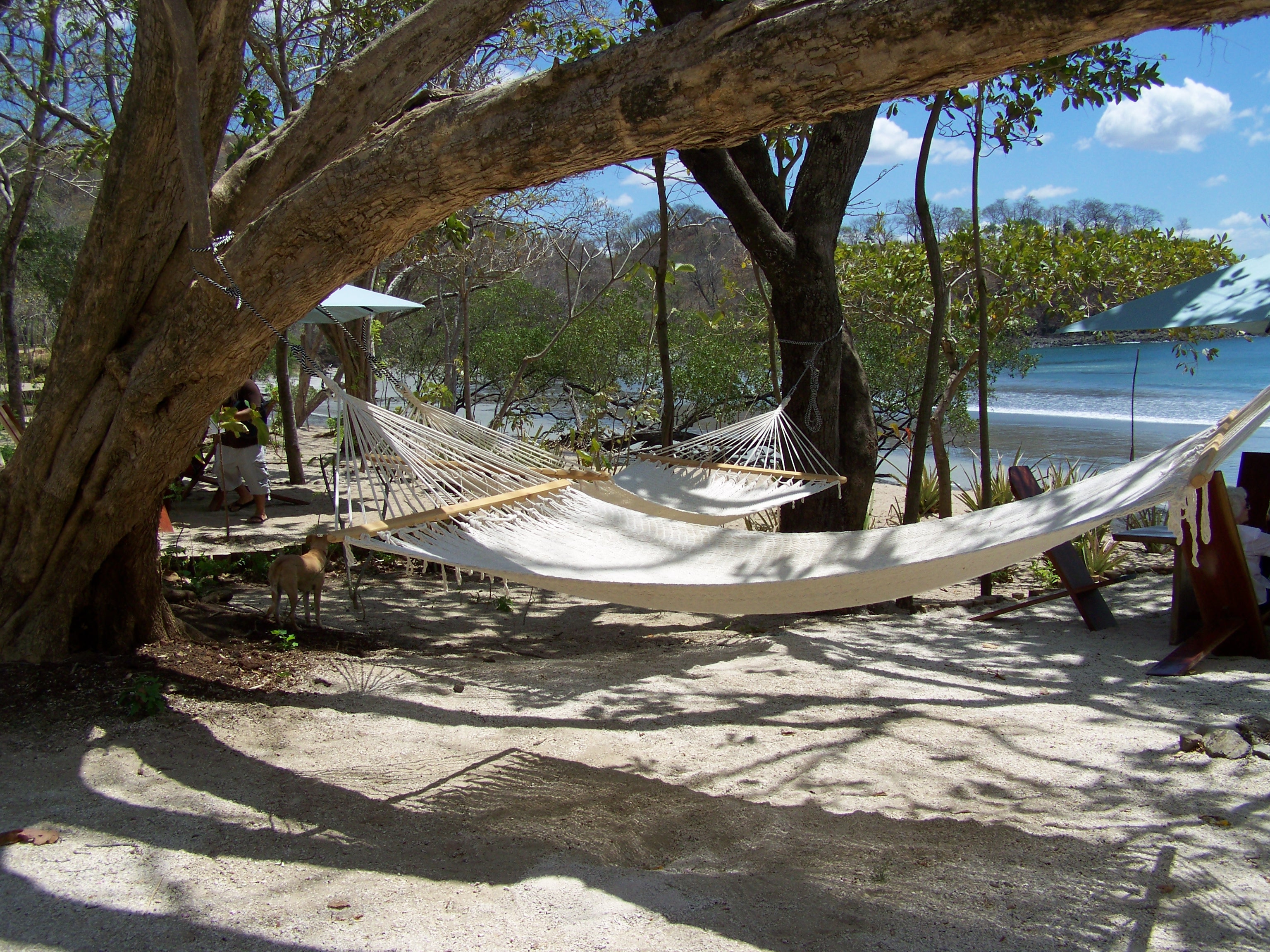 7 bed Single Family Homes For Sale in Playa Danta, Guanacaste - thumb 20