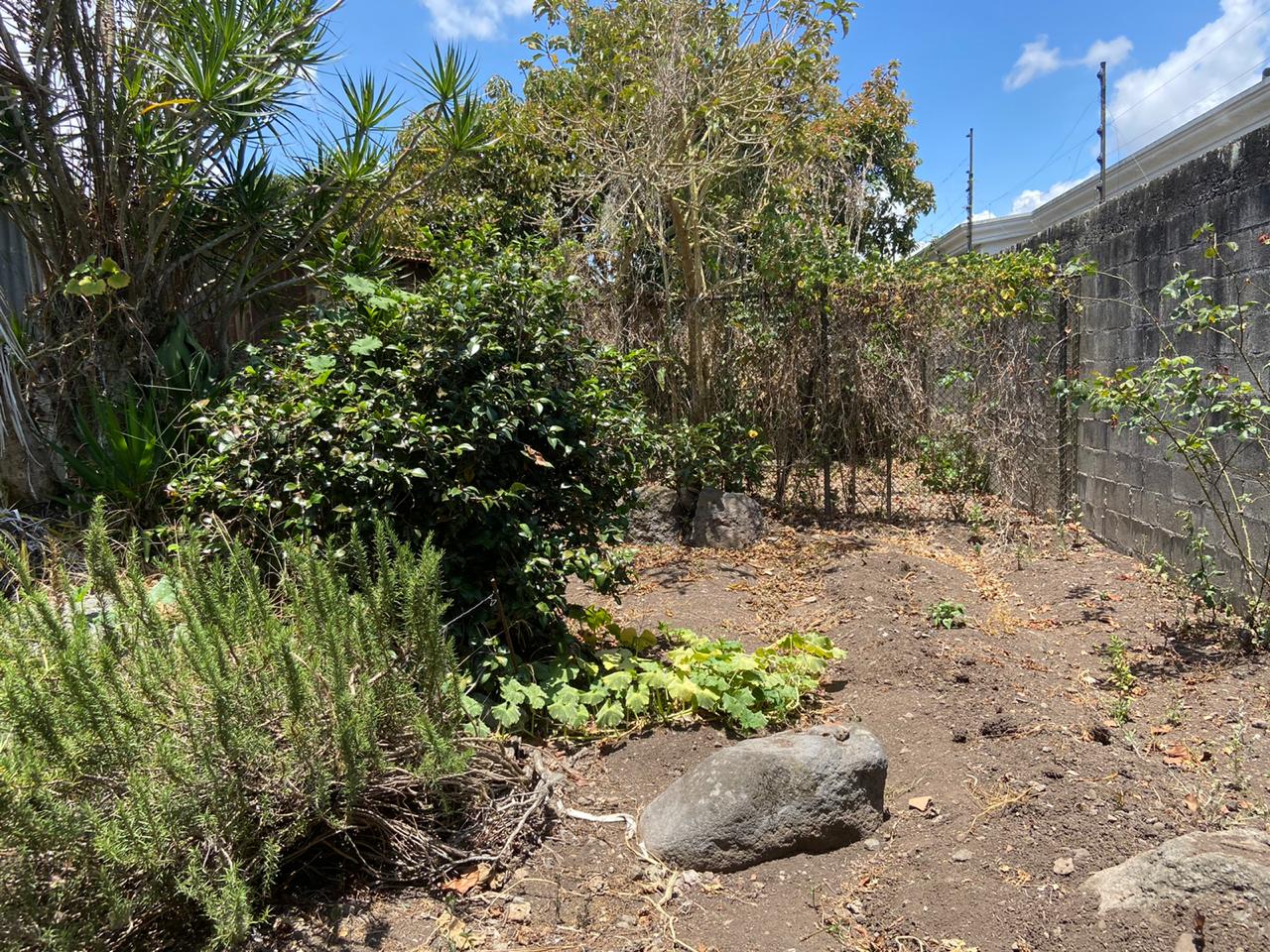 0 bed Land For Sale in Carmen, Cartago - thumb 3