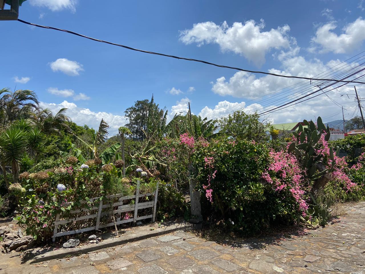 0 bed Land For Sale in Carmen, Cartago - thumb 2