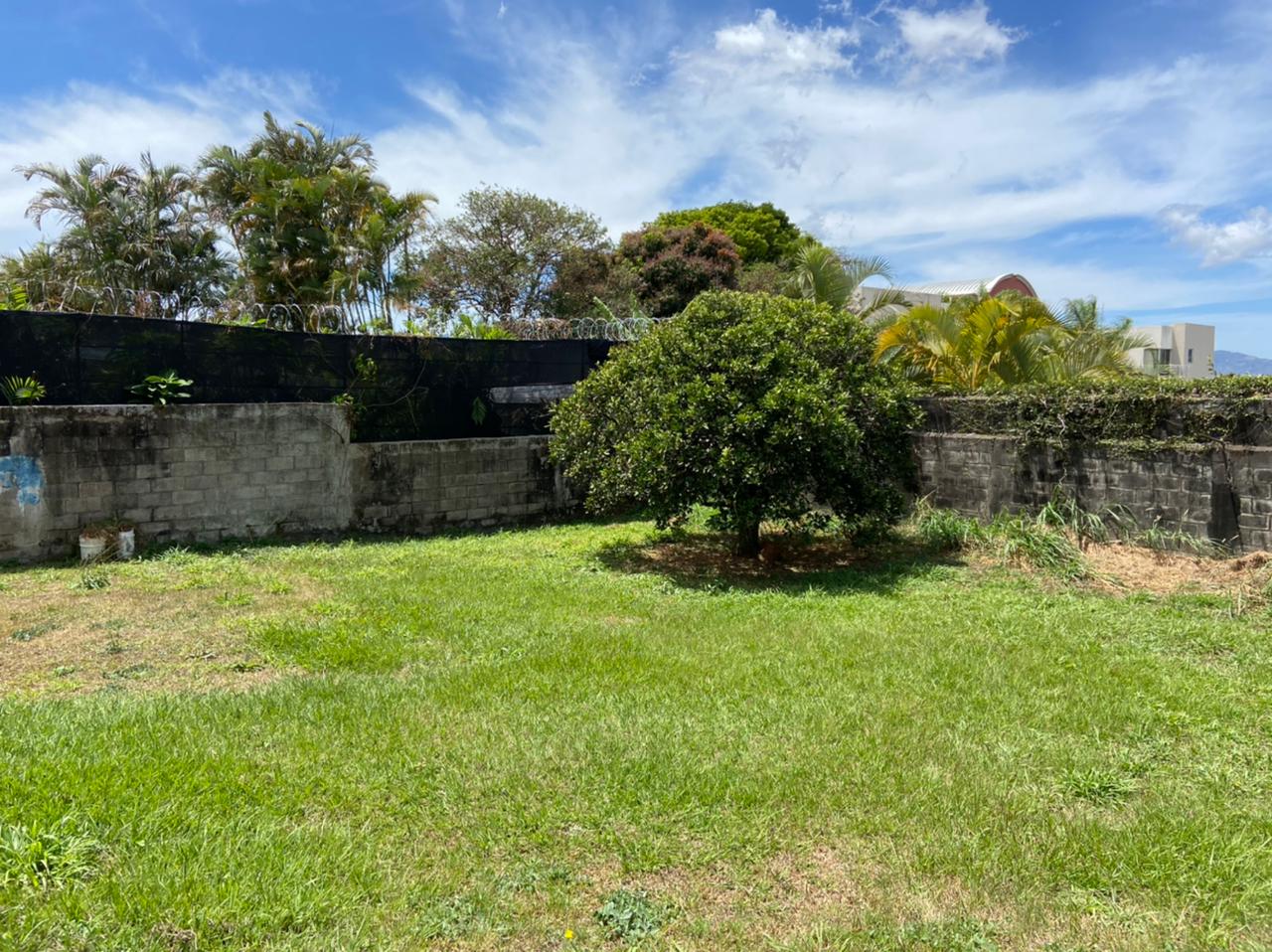 5 bed Single Family Homes For Rent in Montes de Oca, San Jose - thumb 3