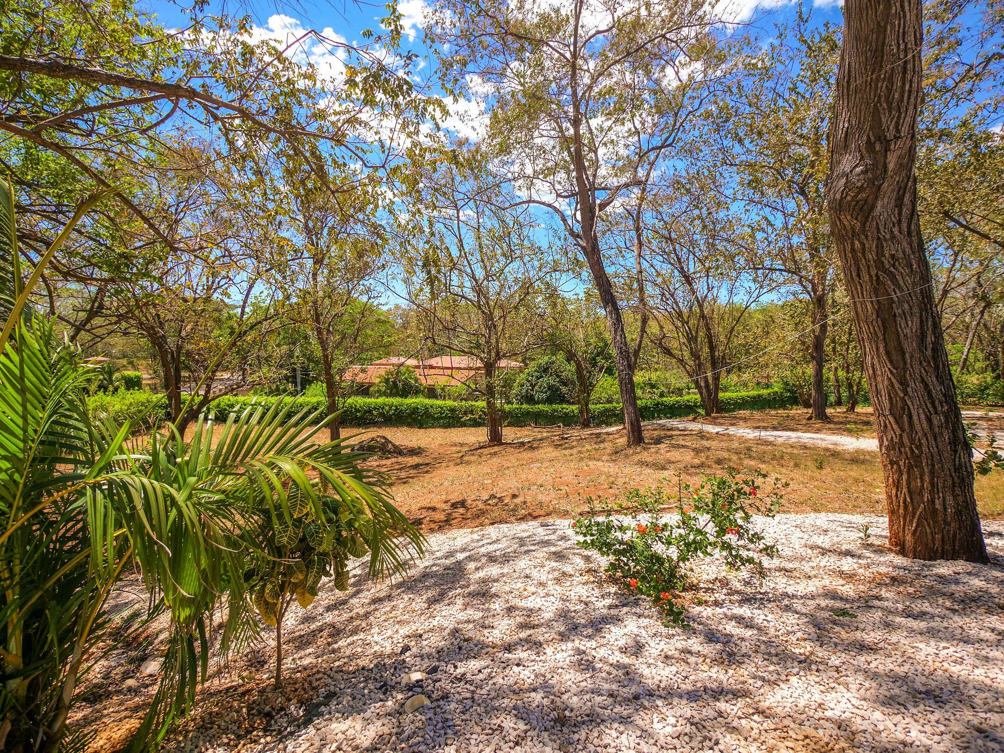 8 bed Single Family Homes For Sale in Playa Flamingo, Guanacaste - thumb 27