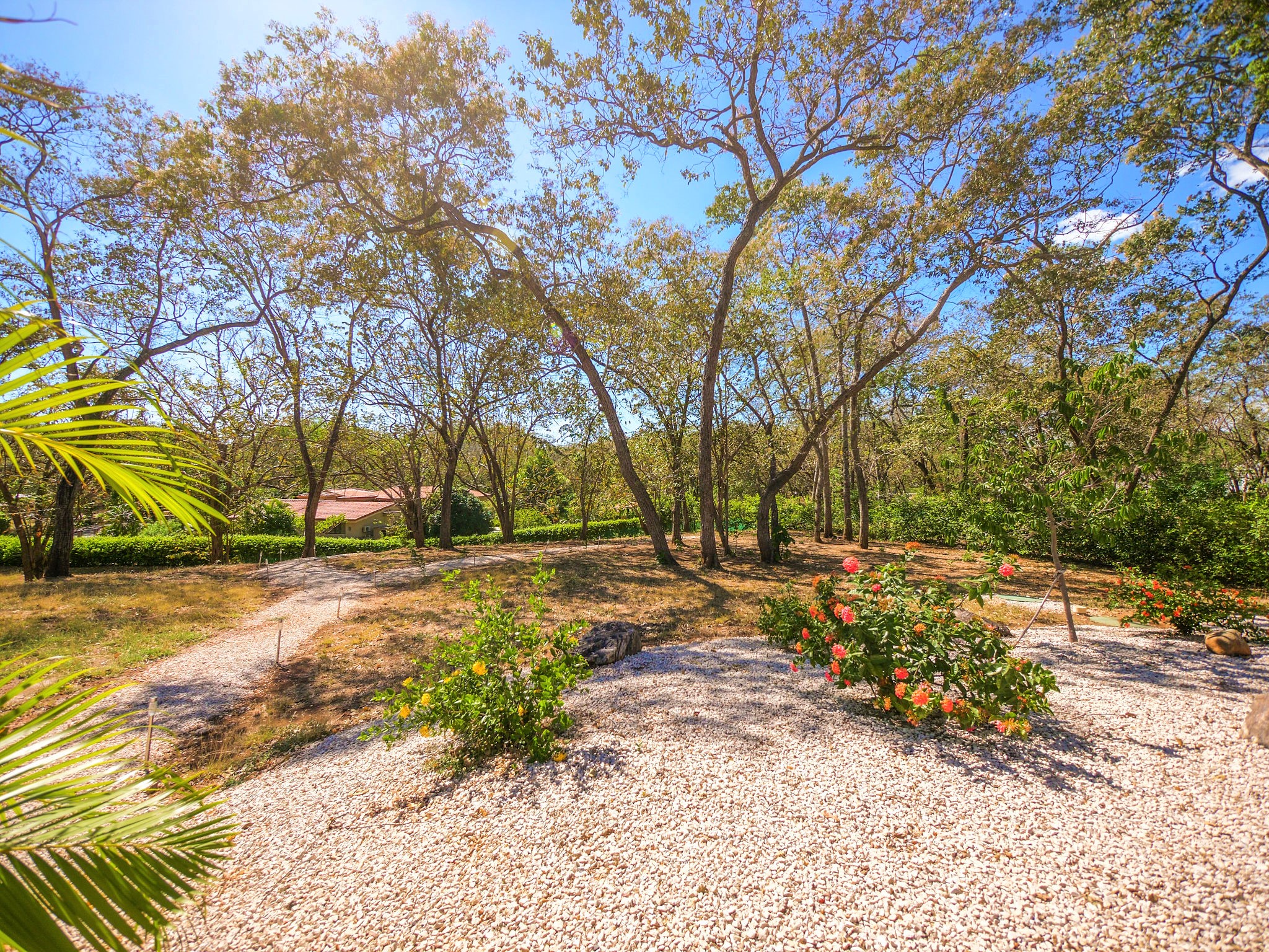 8 bed Single Family Homes For Sale in Playa Flamingo, Guanacaste - thumb 28