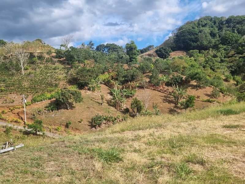 0 bed Land For Sale in Atenas, Alajuela - hero 7