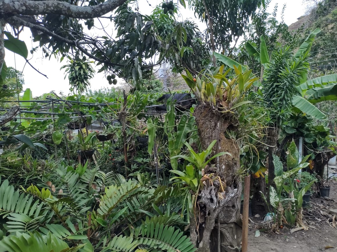 0 bed Land For Sale in Atenas, Alajuela - thumb 6