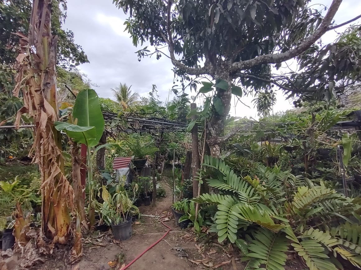 0 bed Land For Sale in Atenas, Alajuela - thumb 4