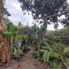  - New Gated Community - Bario Jesus - Atenas #1