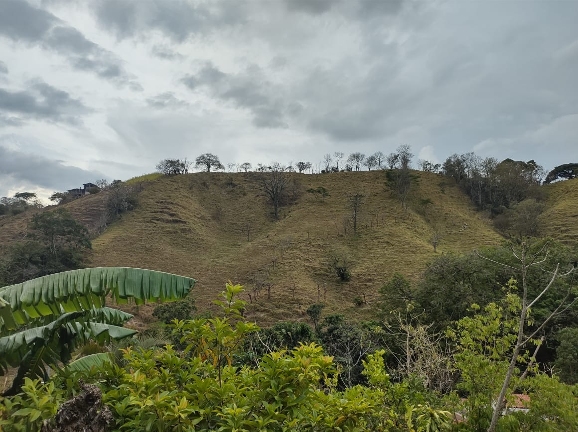 0 bed Land For Sale in Atenas, Alajuela - thumb 7