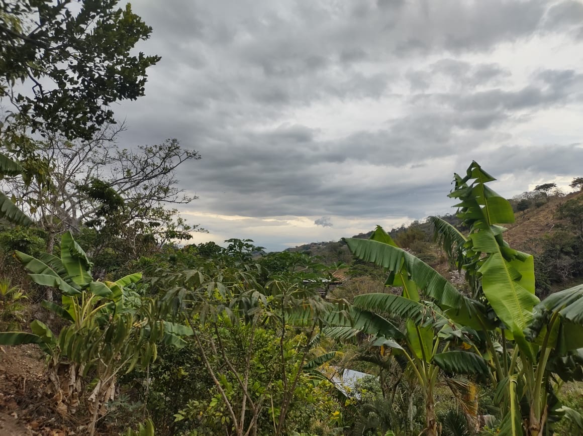 0 bed Land For Sale in Atenas, Alajuela - thumb 1