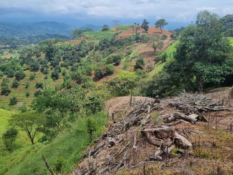 0 bed Land For Sale in Atenas, Alajuela - hero 14