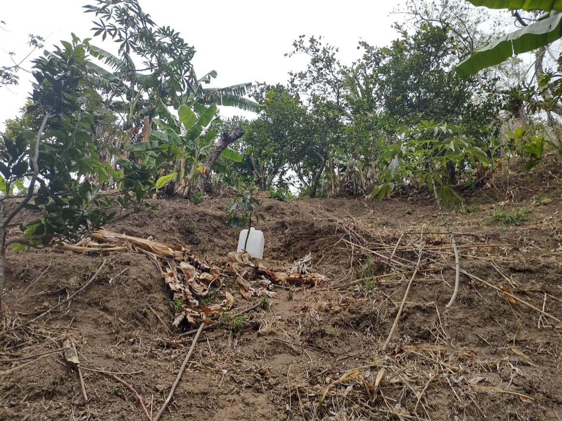 0 bed Land For Sale in Atenas, Alajuela - thumb 2