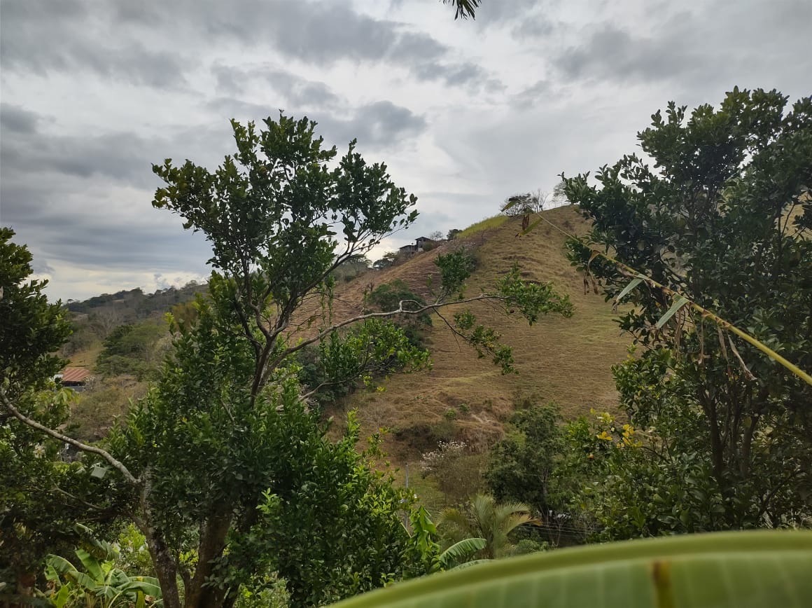 0 bed Land For Sale in Atenas, Alajuela - thumb 5