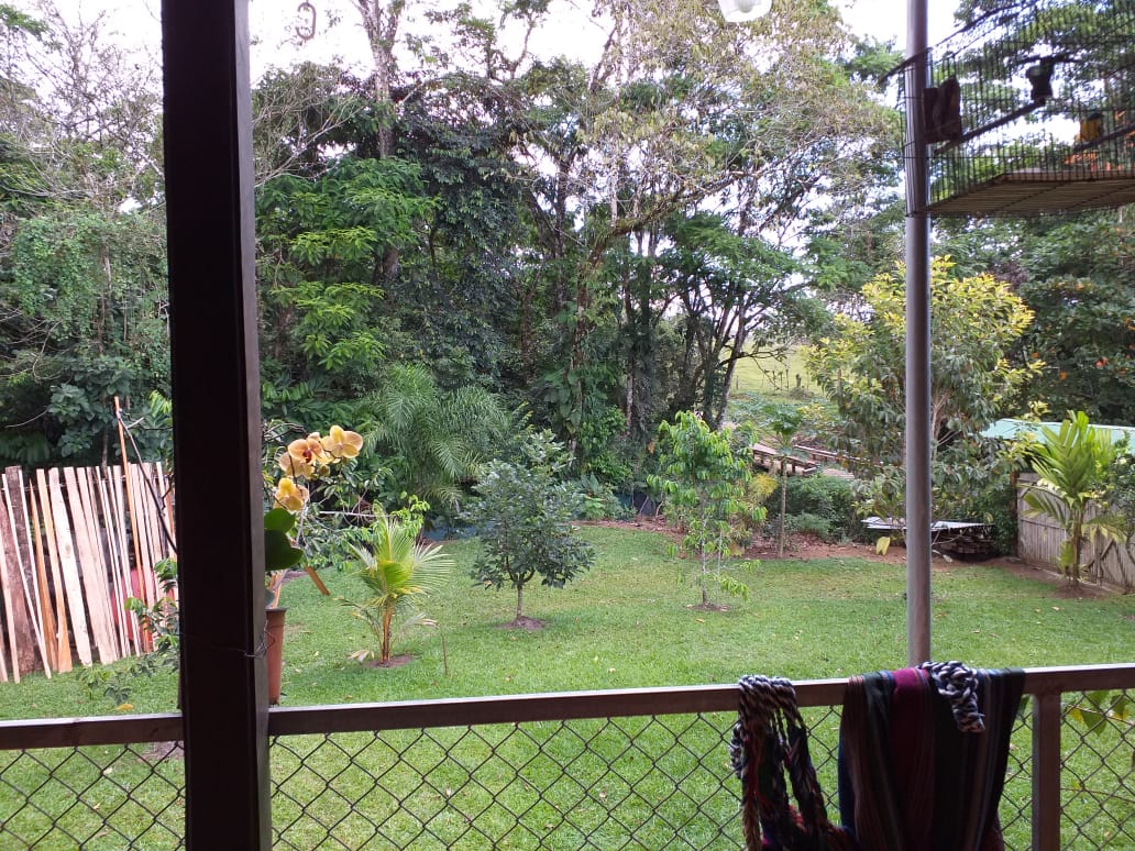 3 bed Single Family Homes For Sale in La Fortuna, Alajuela - thumb 5