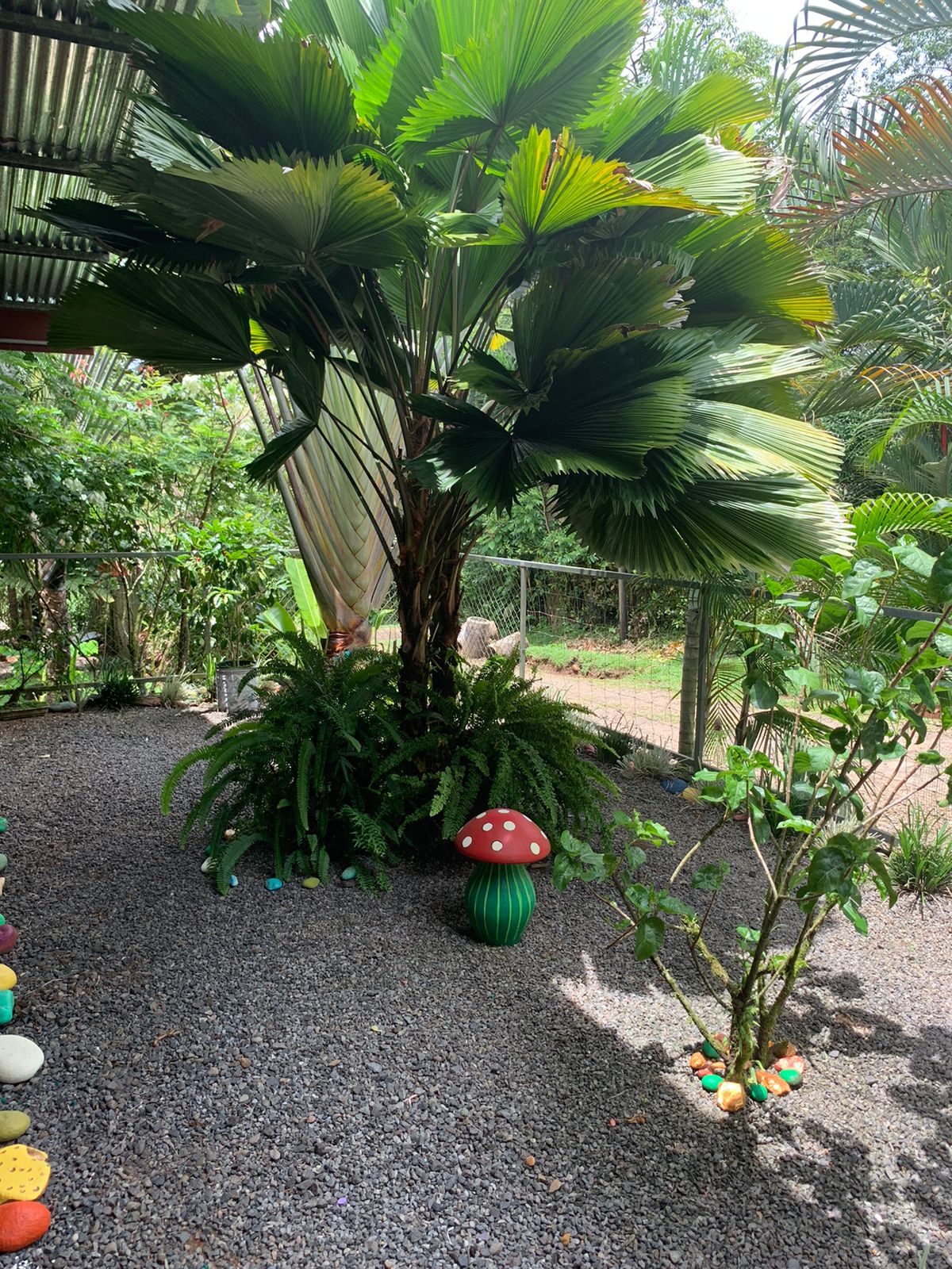 3 bed Single Family Homes For Sale in La Fortuna, Alajuela - thumb 8