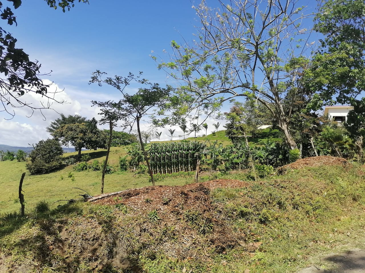 0 bed Land For Sale in Lake Arenal, Guanacaste - thumb 1