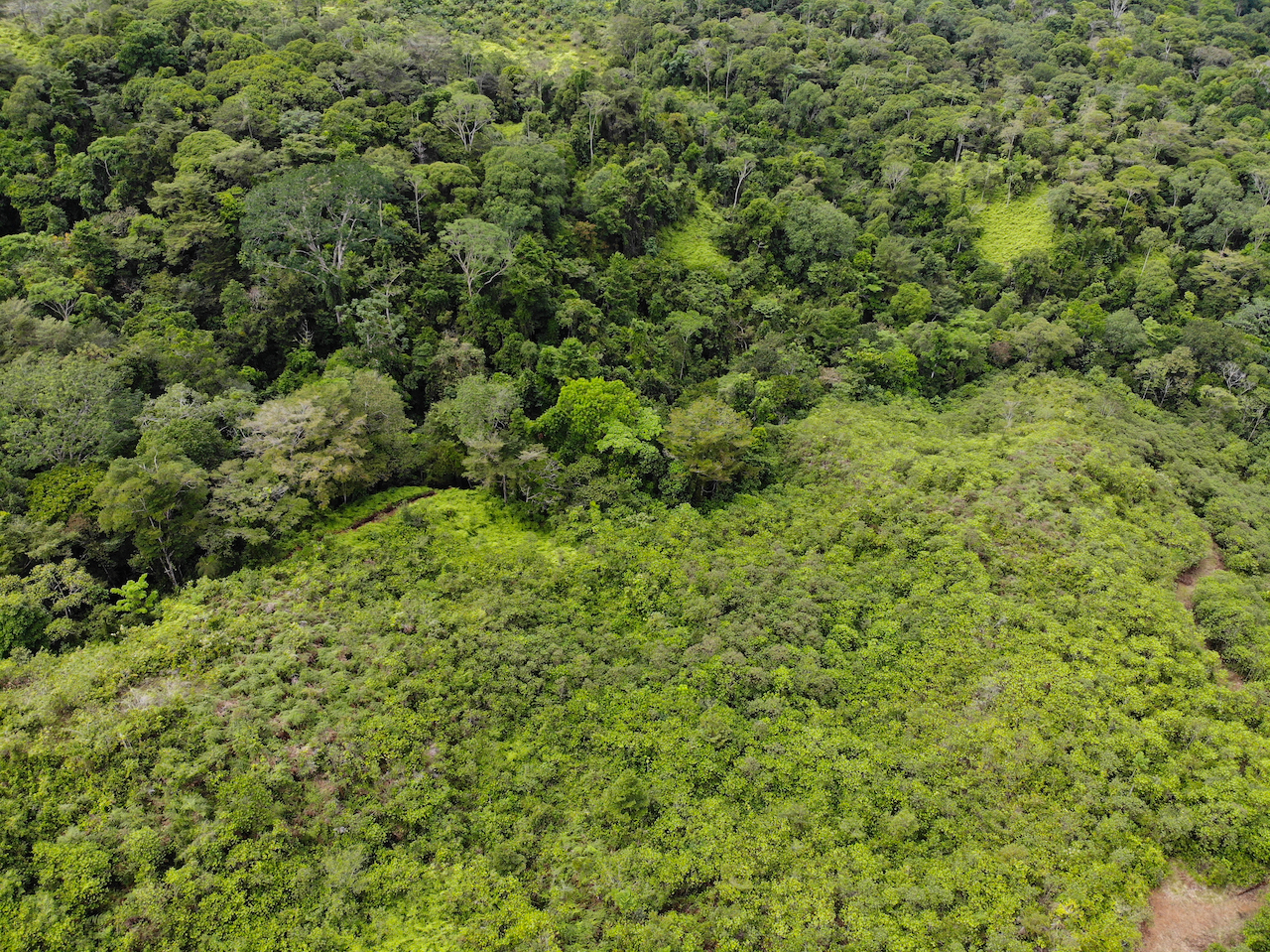 0 bed Land For Sale in Sierpe, Puntarenas - thumb 7