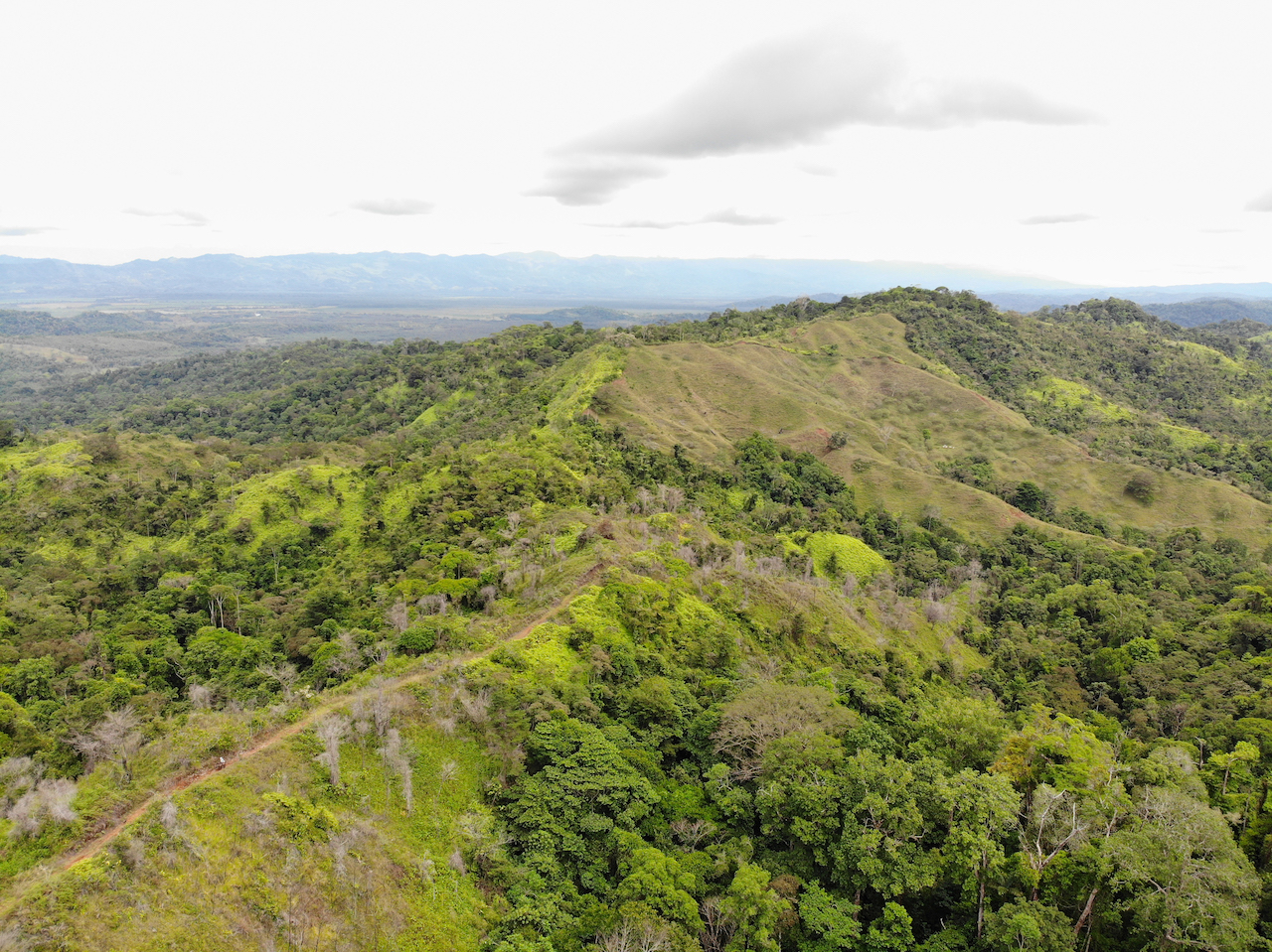 0 bed Land For Sale in Sierpe, Puntarenas - thumb 5