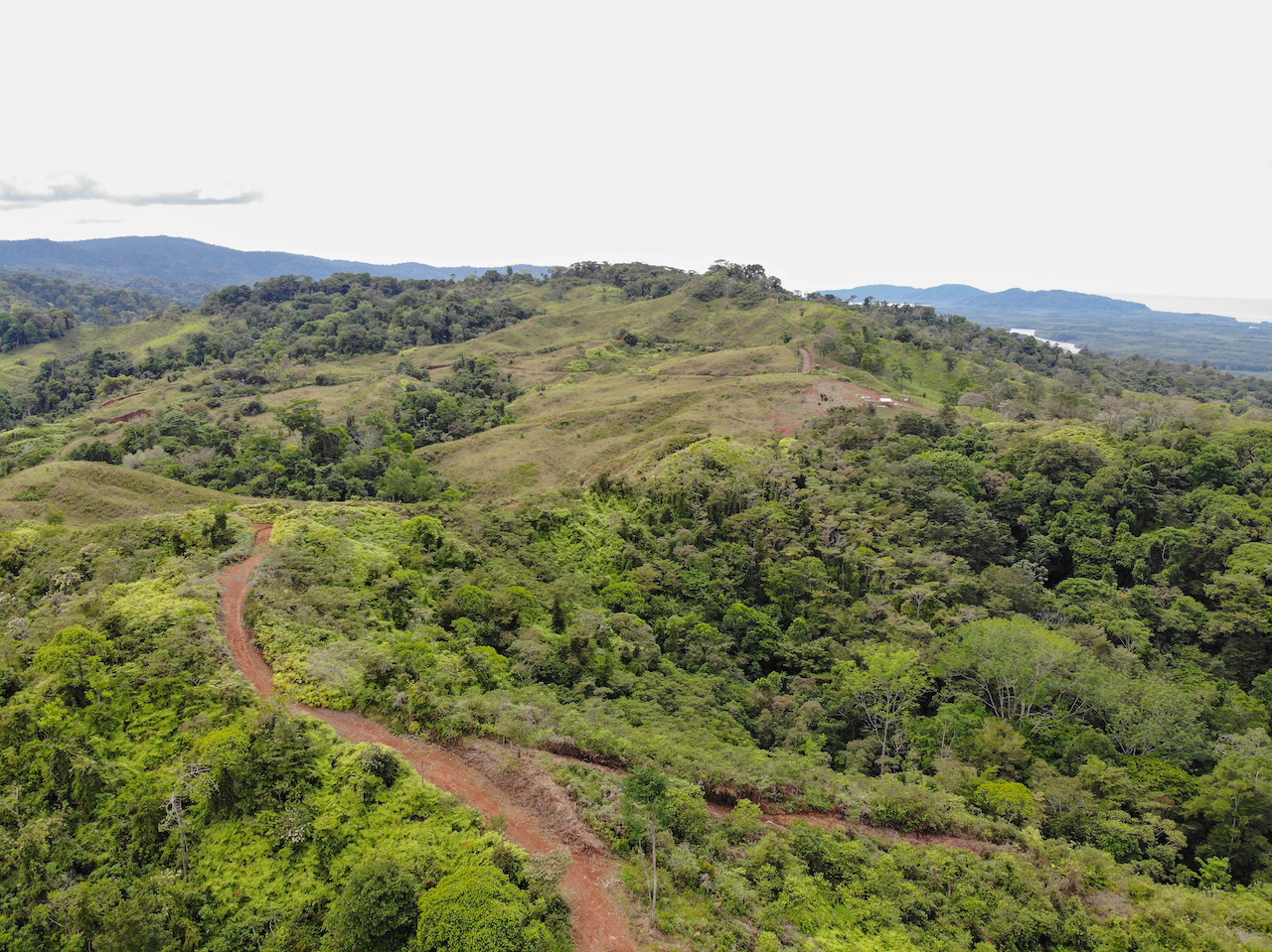 0 bed Land For Sale in Sierpe, Puntarenas - thumb 4