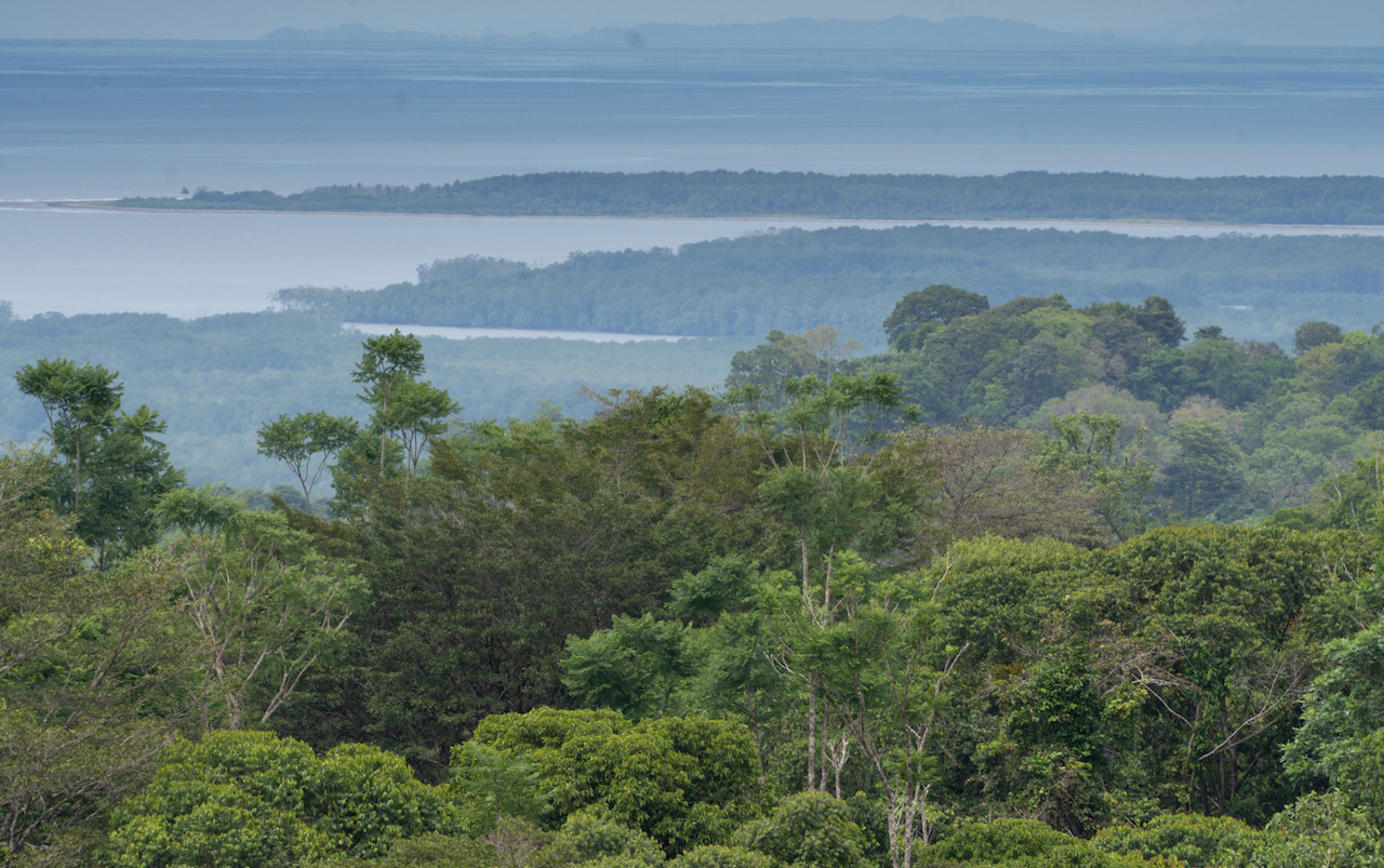 0 bed Land For Sale in Sierpe, Puntarenas - thumb 1