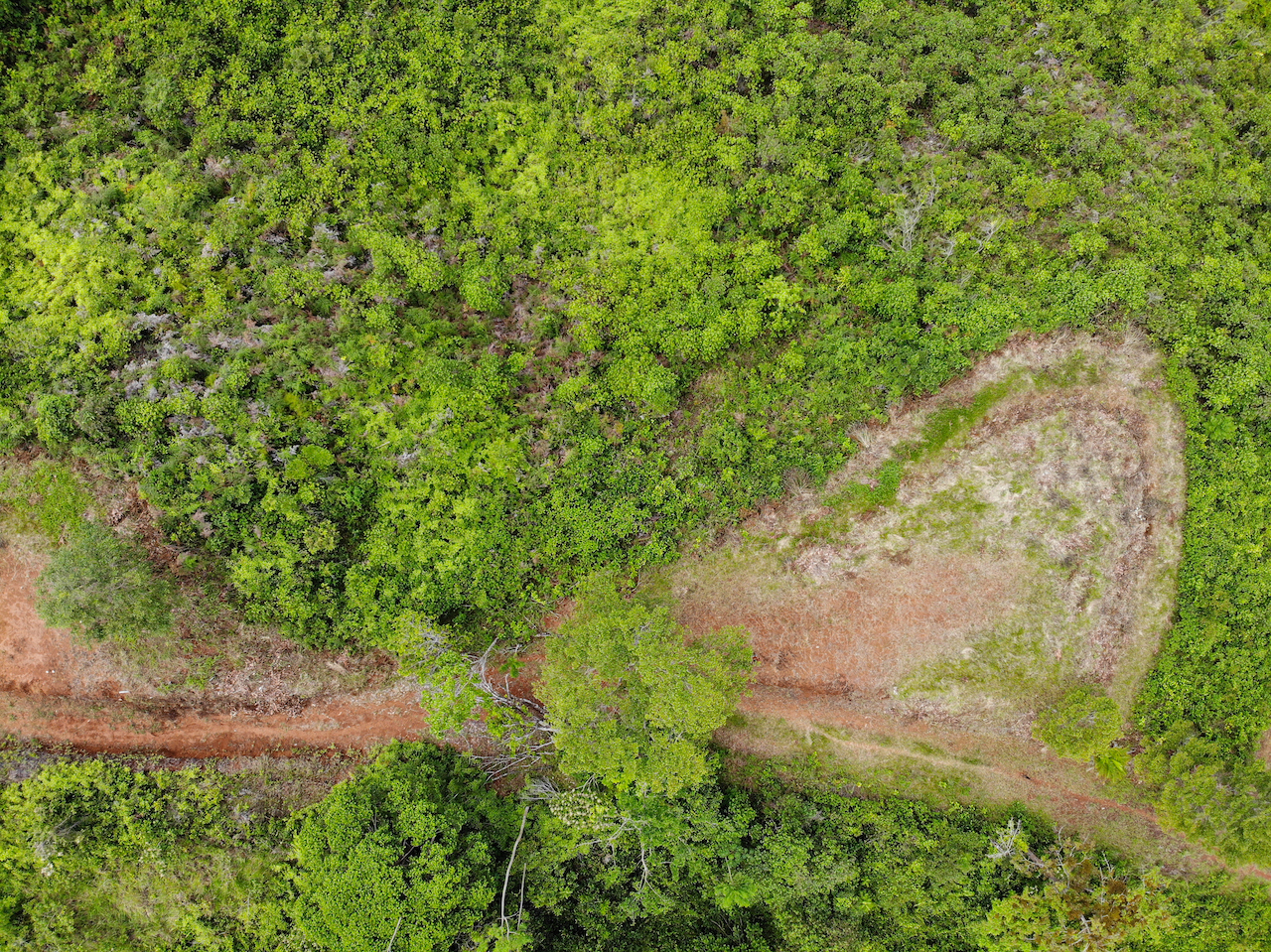 0 bed Land For Sale in Sierpe, Puntarenas - thumb 6