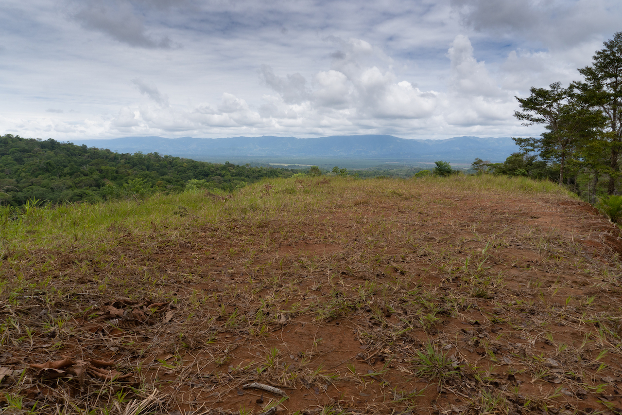 0 bed Land For Sale in Sierpe, Puntarenas - thumb 9