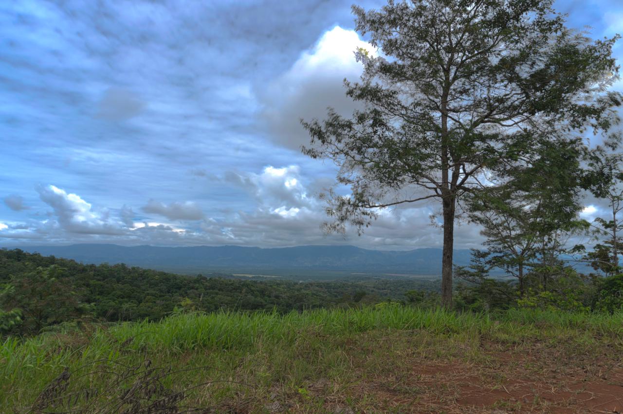 0 bed Land For Sale in Sierpe, Puntarenas - thumb 2