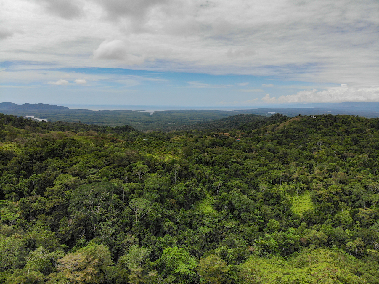 0 bed Land For Sale in Sierpe, Puntarenas - thumb 8